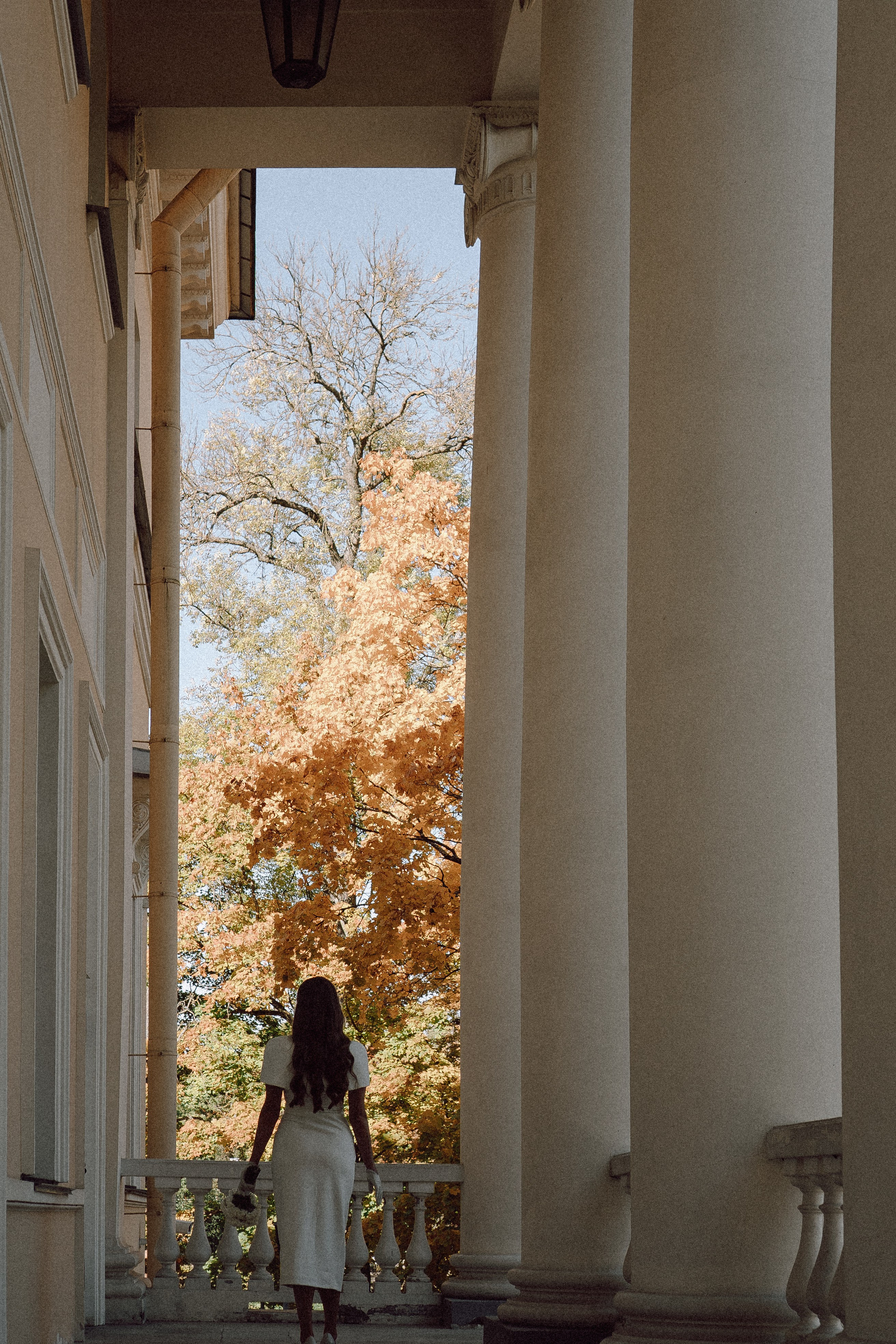 СВАДЕБНАЯ СЬЕМКА В ПУШКИН. Профессиональный фотограф, Санкт-Петербург — Виктория Богомолова