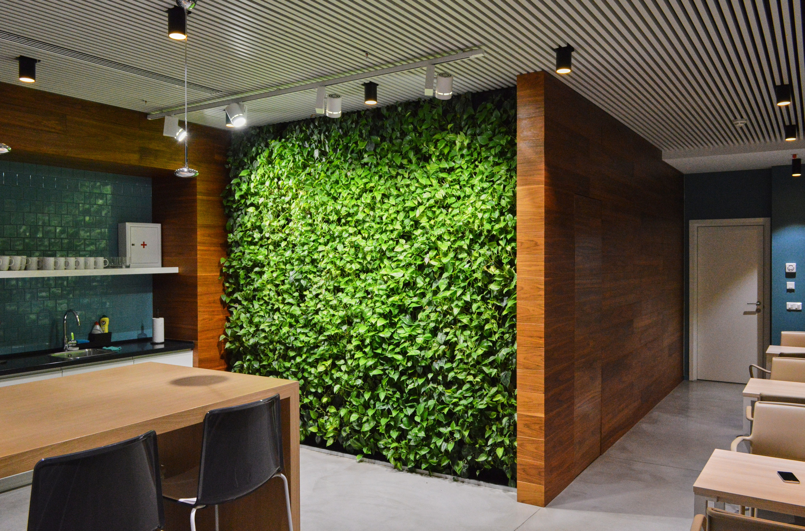 Озеленение ГК Techo. Фото и видео съемка в Сочи Адлере Красной поляне