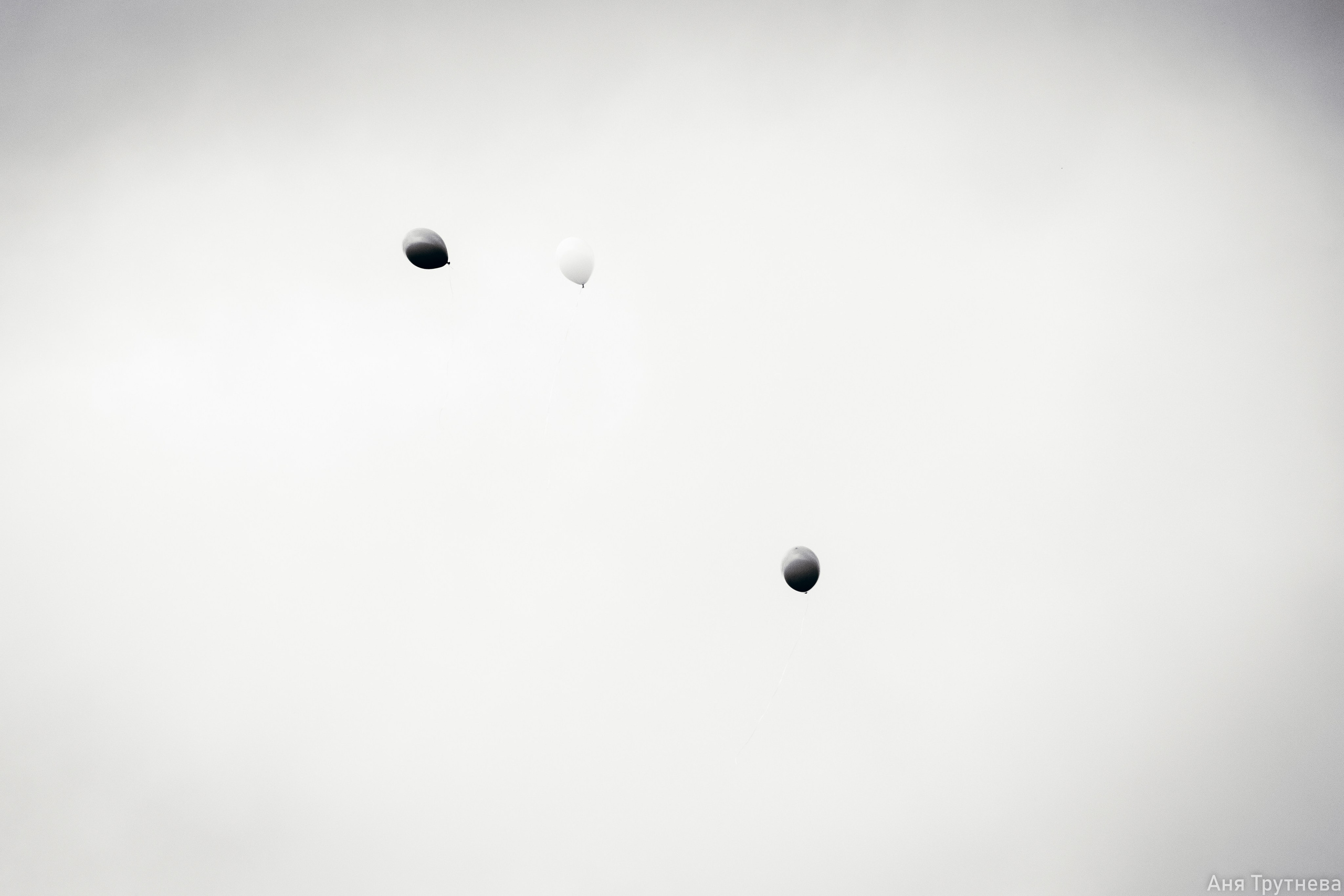 9 мая 2025. Фотограф и видеограф в Бугульме Аня Трутнева