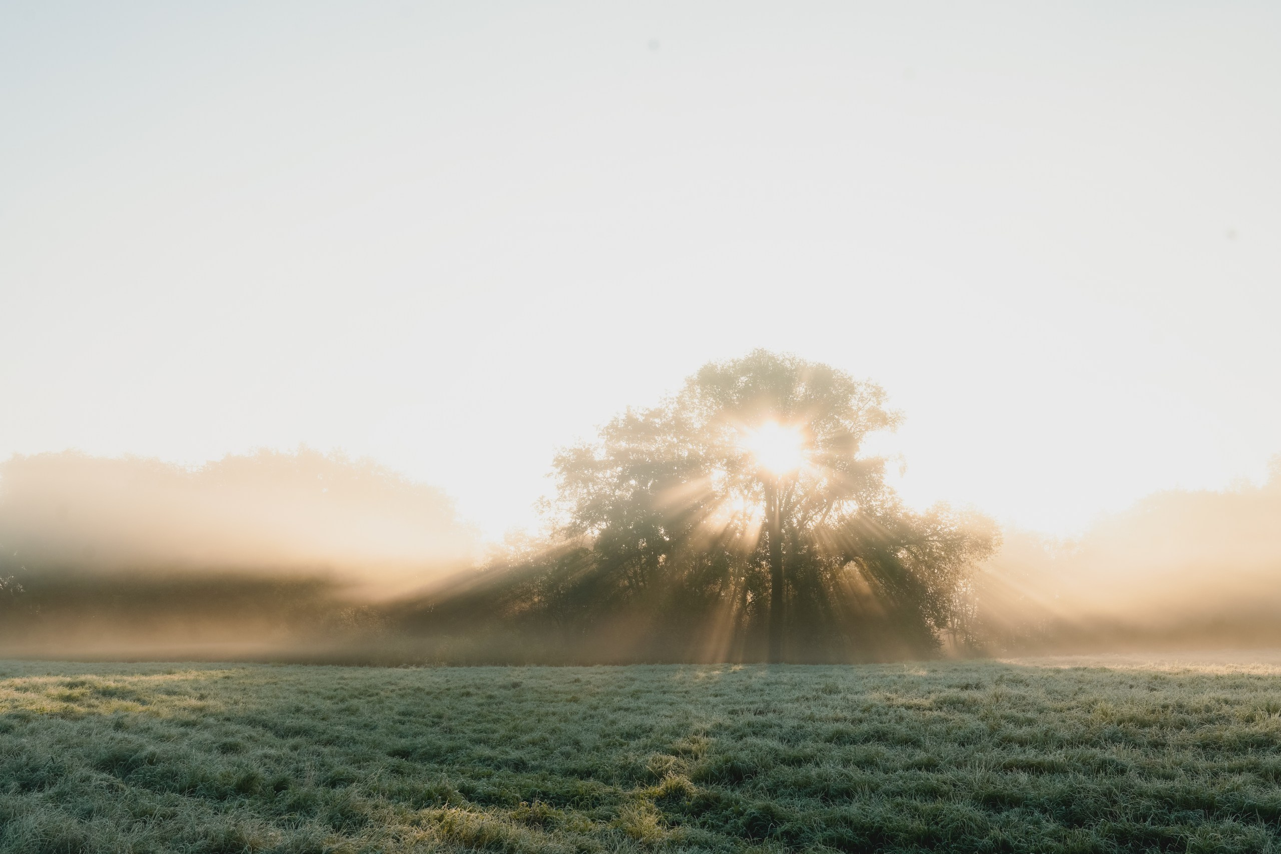 Настя, Коля и Лиза. Семейный фотограф в Москве Лилия Лебедева