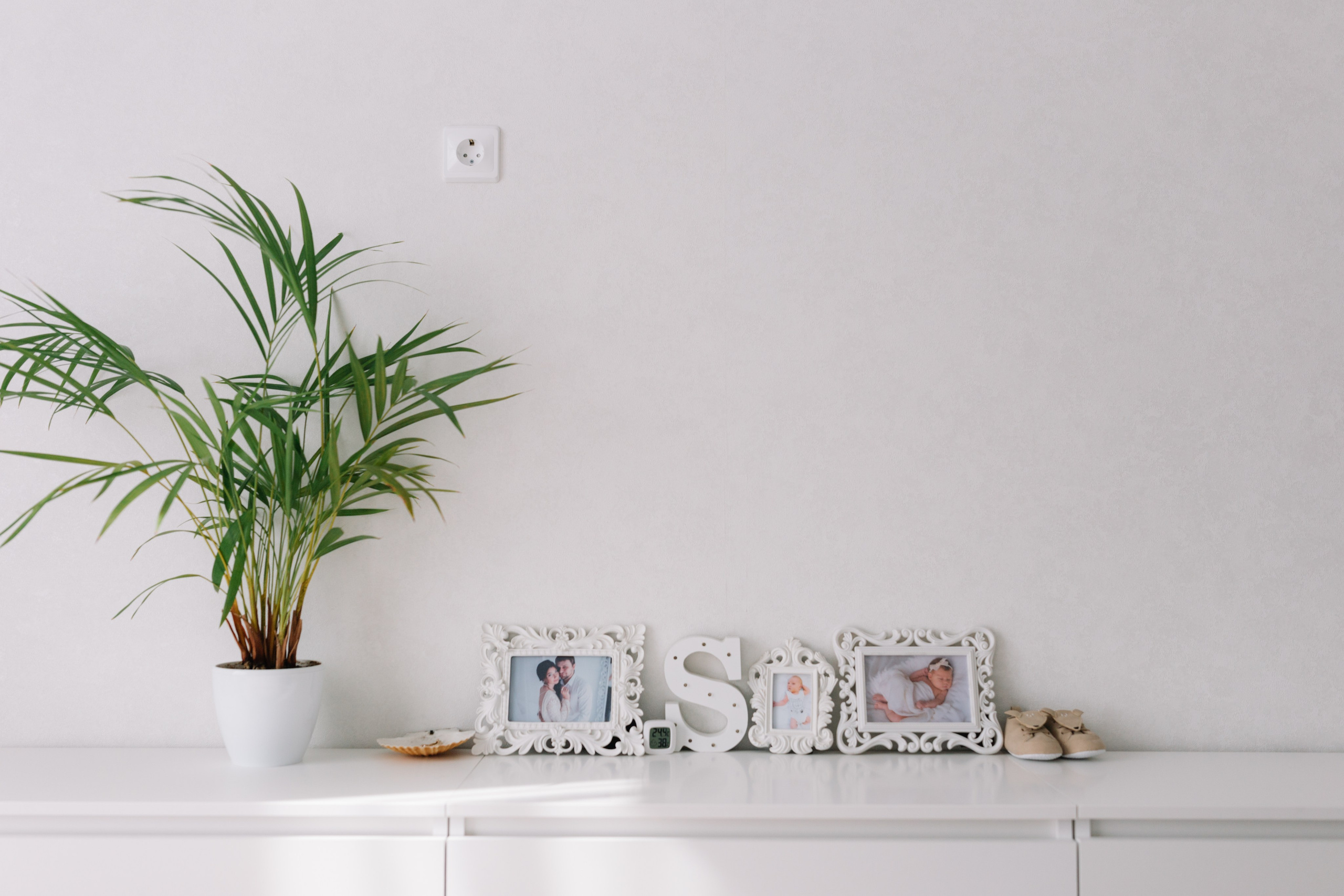 Тима, Мила, Алёша, Алисия домашняя. Семейный фотограф в Волгограде Надежда Головко