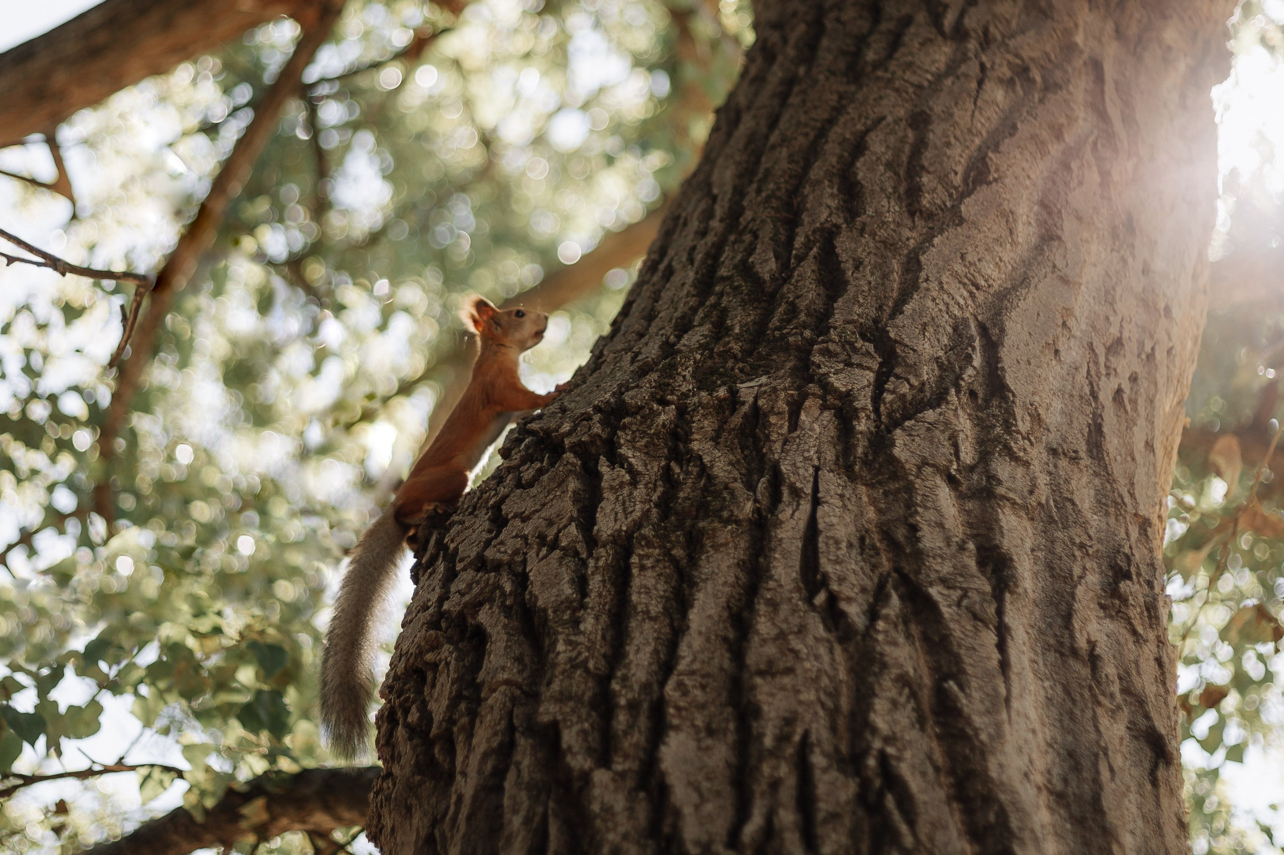 Матвею 1 год. Фотограф в Крыму | Виктория Нотевская