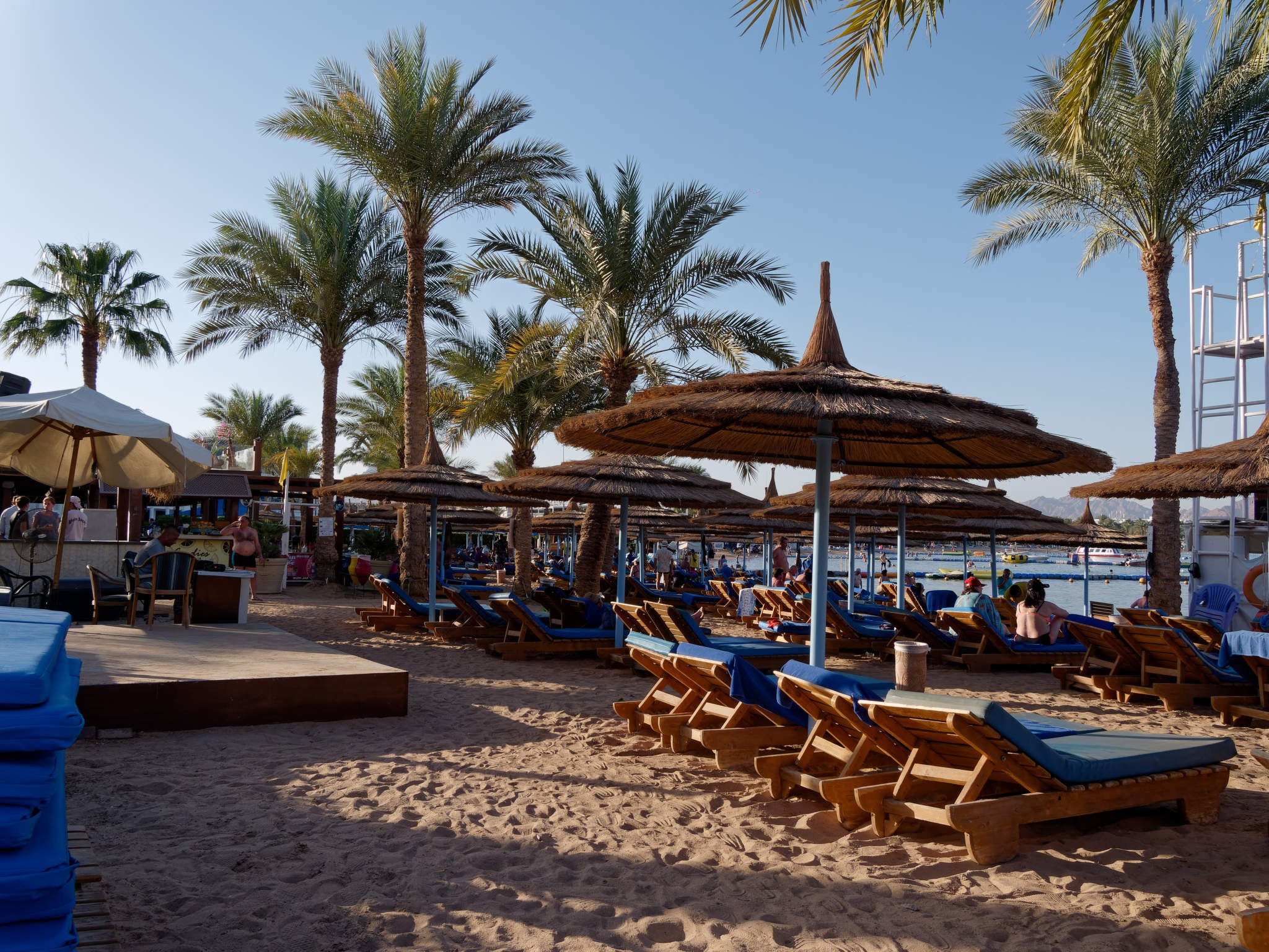 Шарм-эль-Шейх 2024. Избранные фотографии