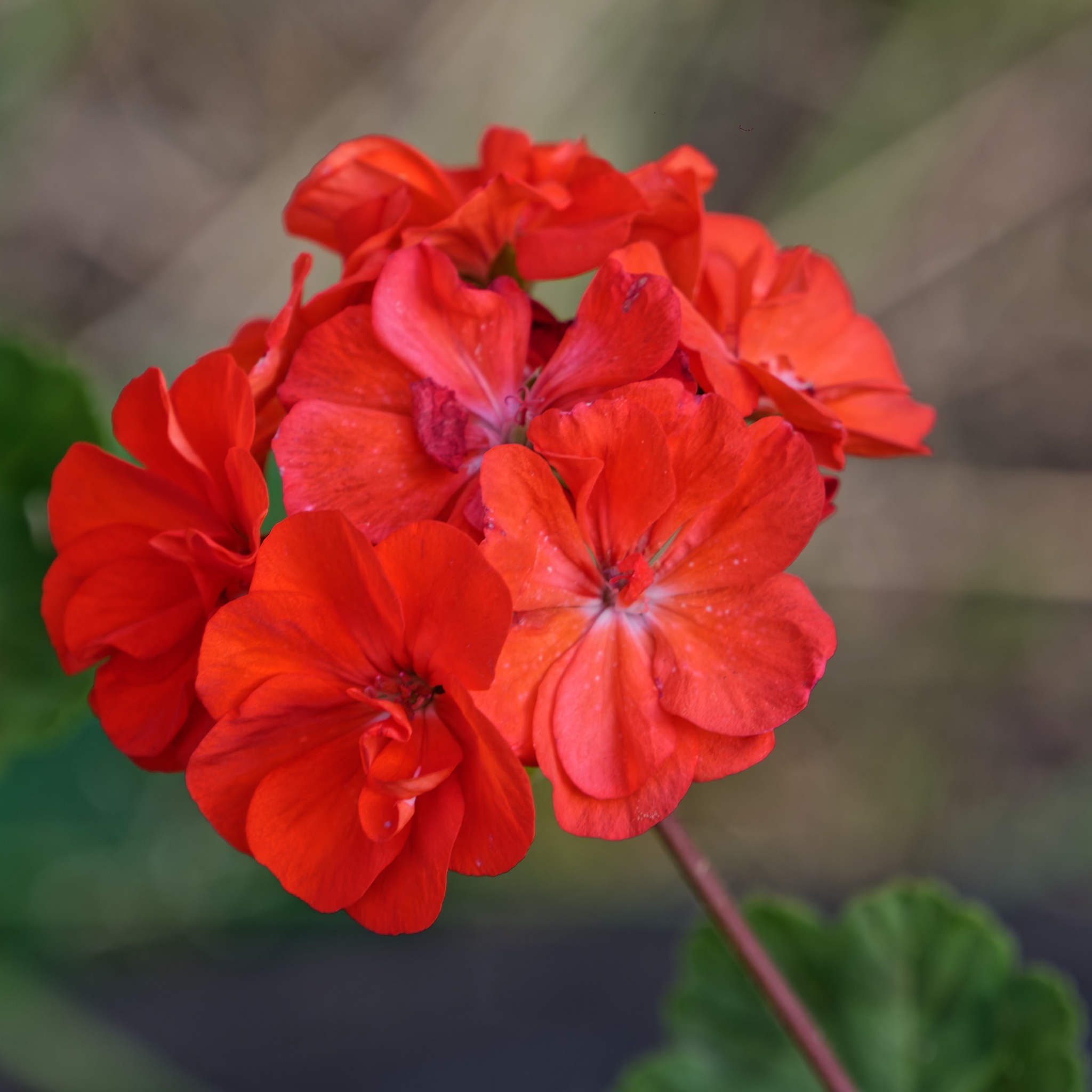 Боровое 2024 (из архива). Избранные фотографии