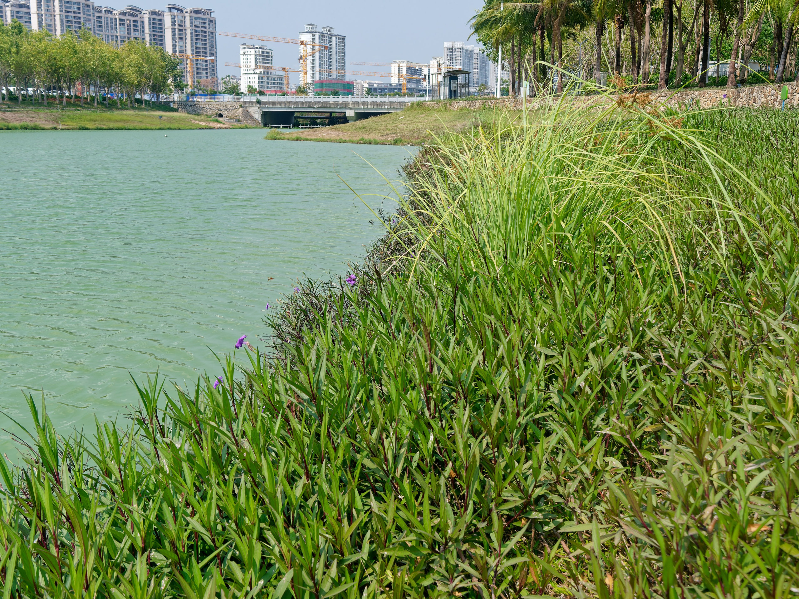 Хайнань 2026, Санья, Торговый центр «Joy City». Фотопрогулки по Миру