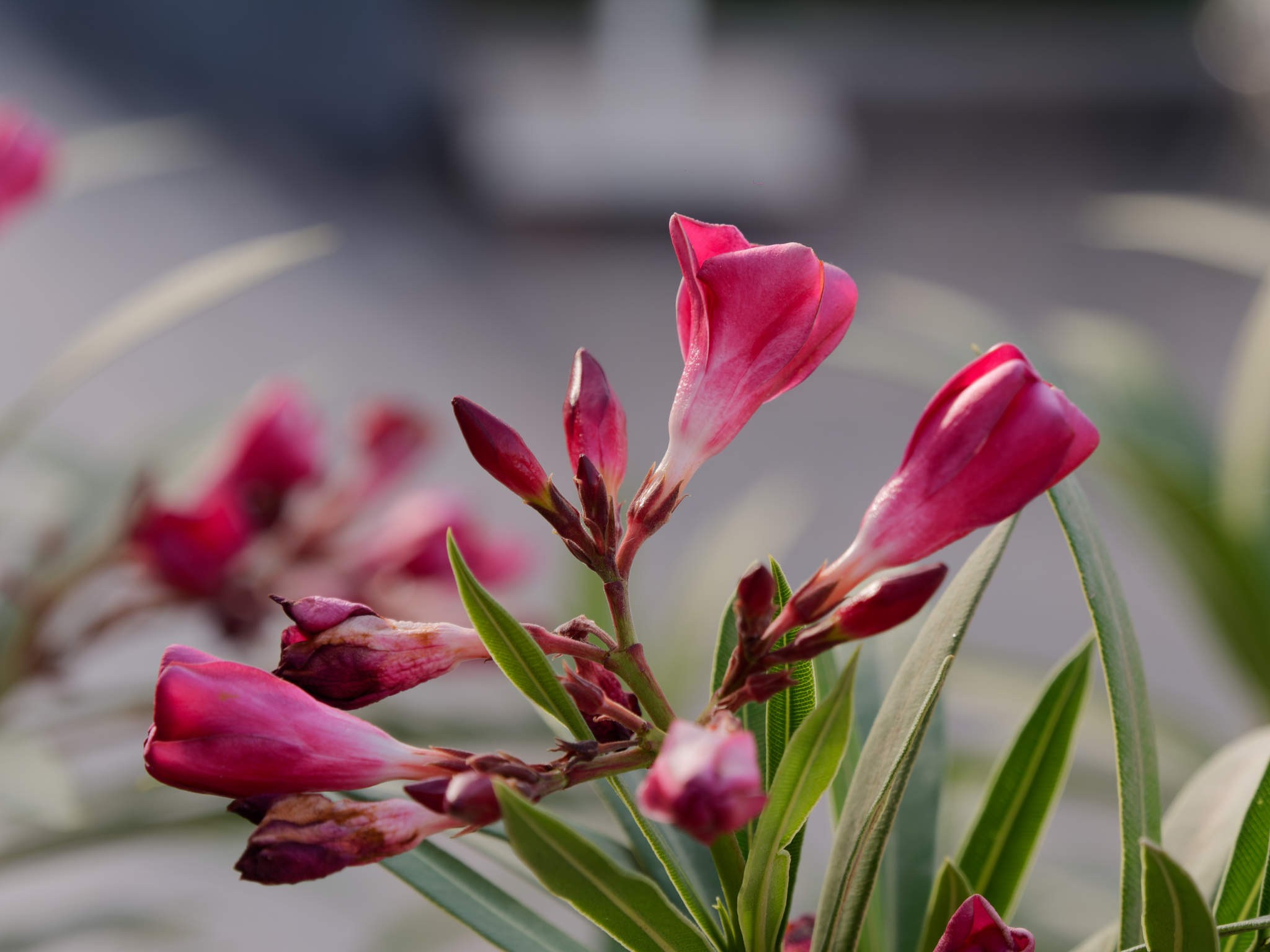 Шарм-эль-Шейх 2024. Избранные фотографии