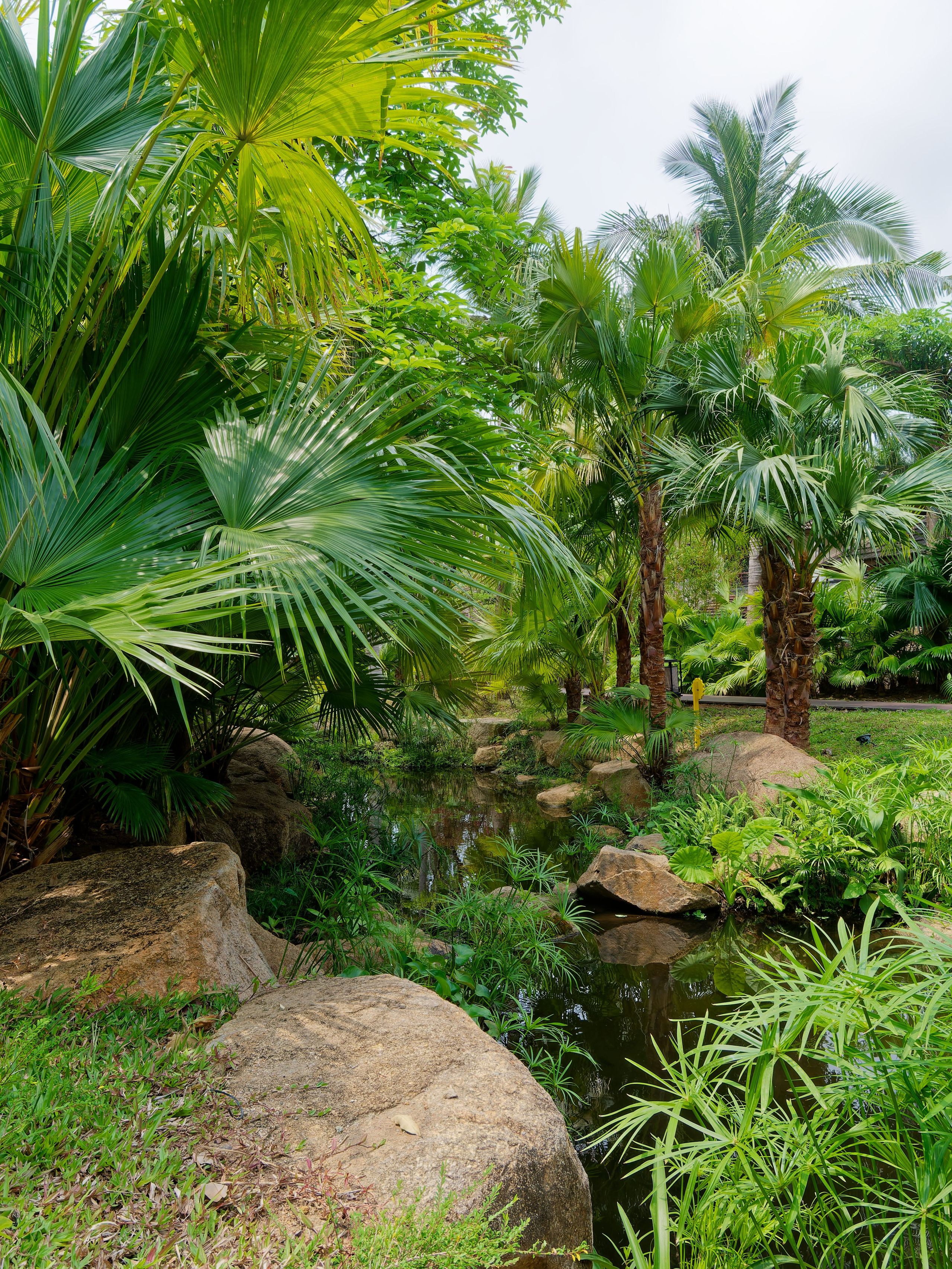 Хайнань 2026, отель «Stony Brook Villa Jianguo Resort Sanya 4*». Фотопрогулки по Миру