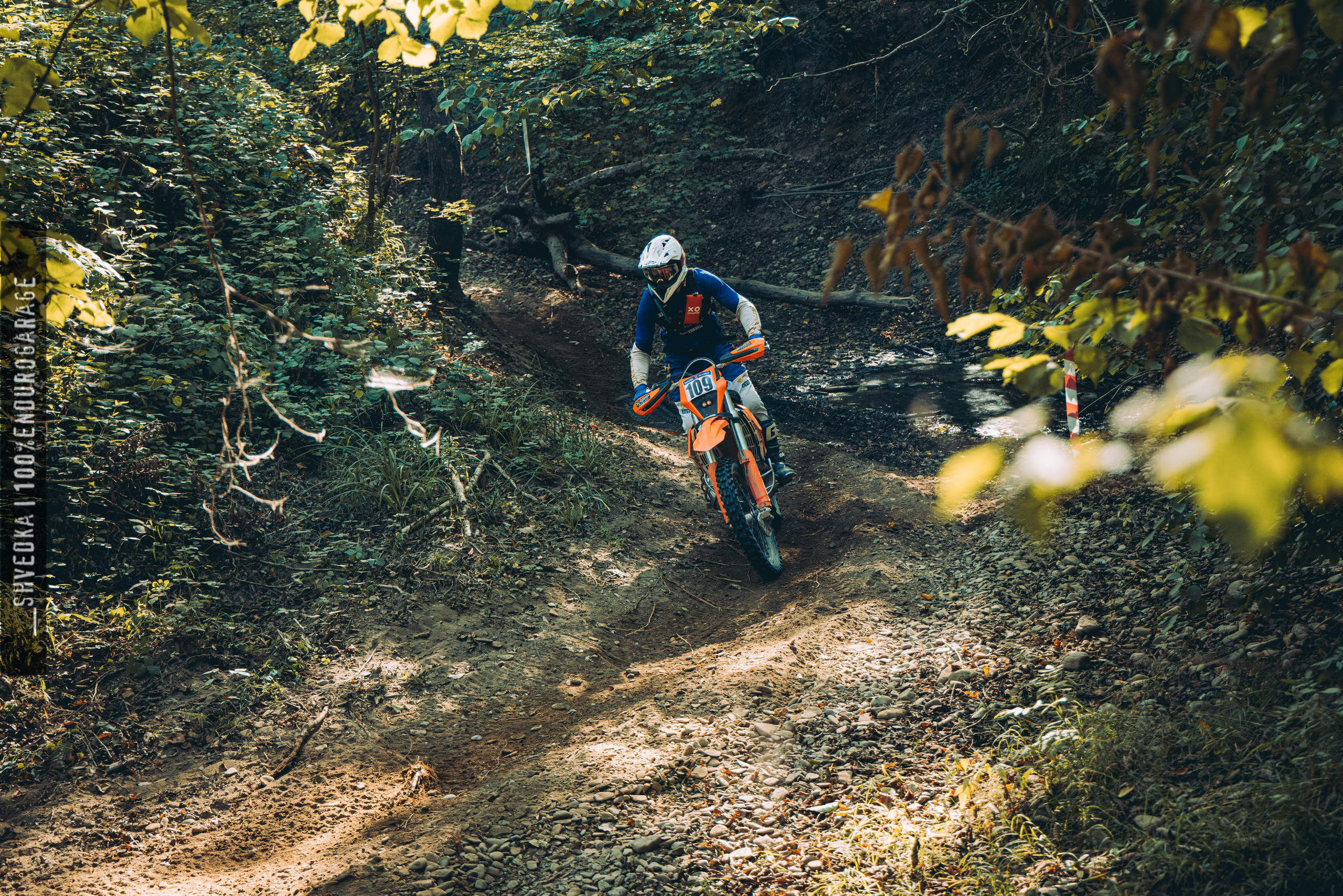 2 лесной день. Ваш экстрим фотограф Кудрева Яна