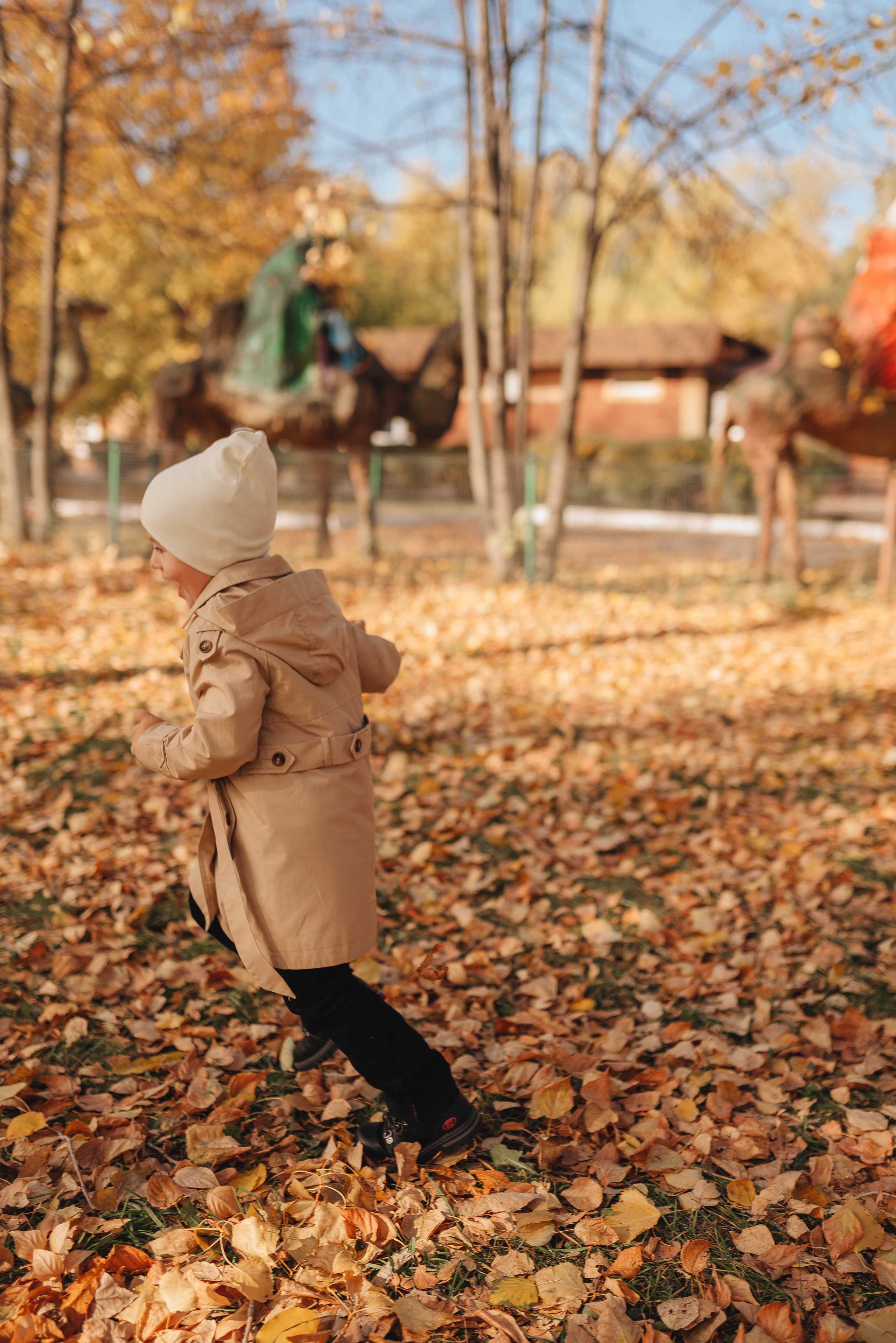 Осенняя прогулка в городском парке. Фотограф Карина Шмулёва. Воронеж и область