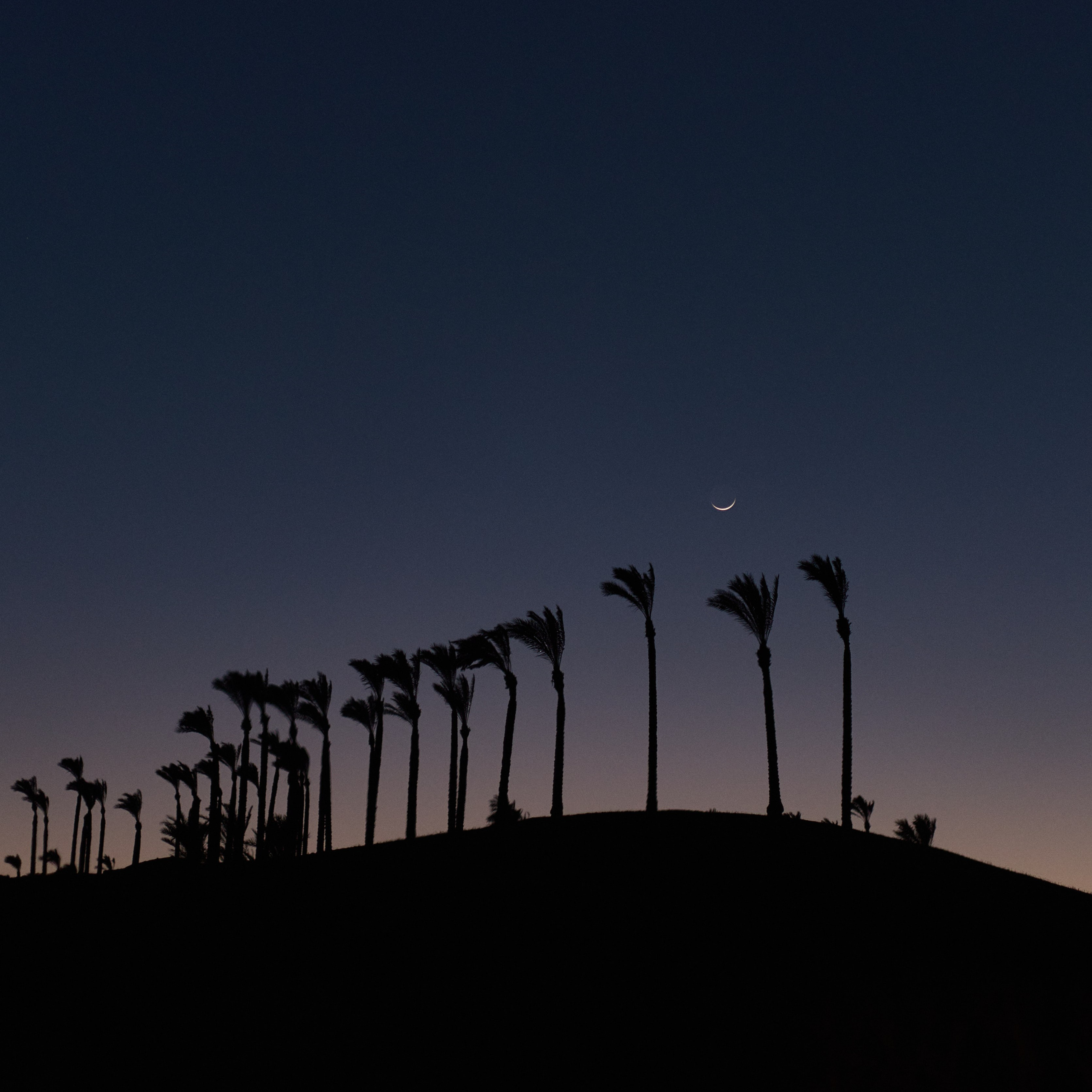 Другое 2. Jorgis Talè — photographer, kind person, teacher of arts and other mag