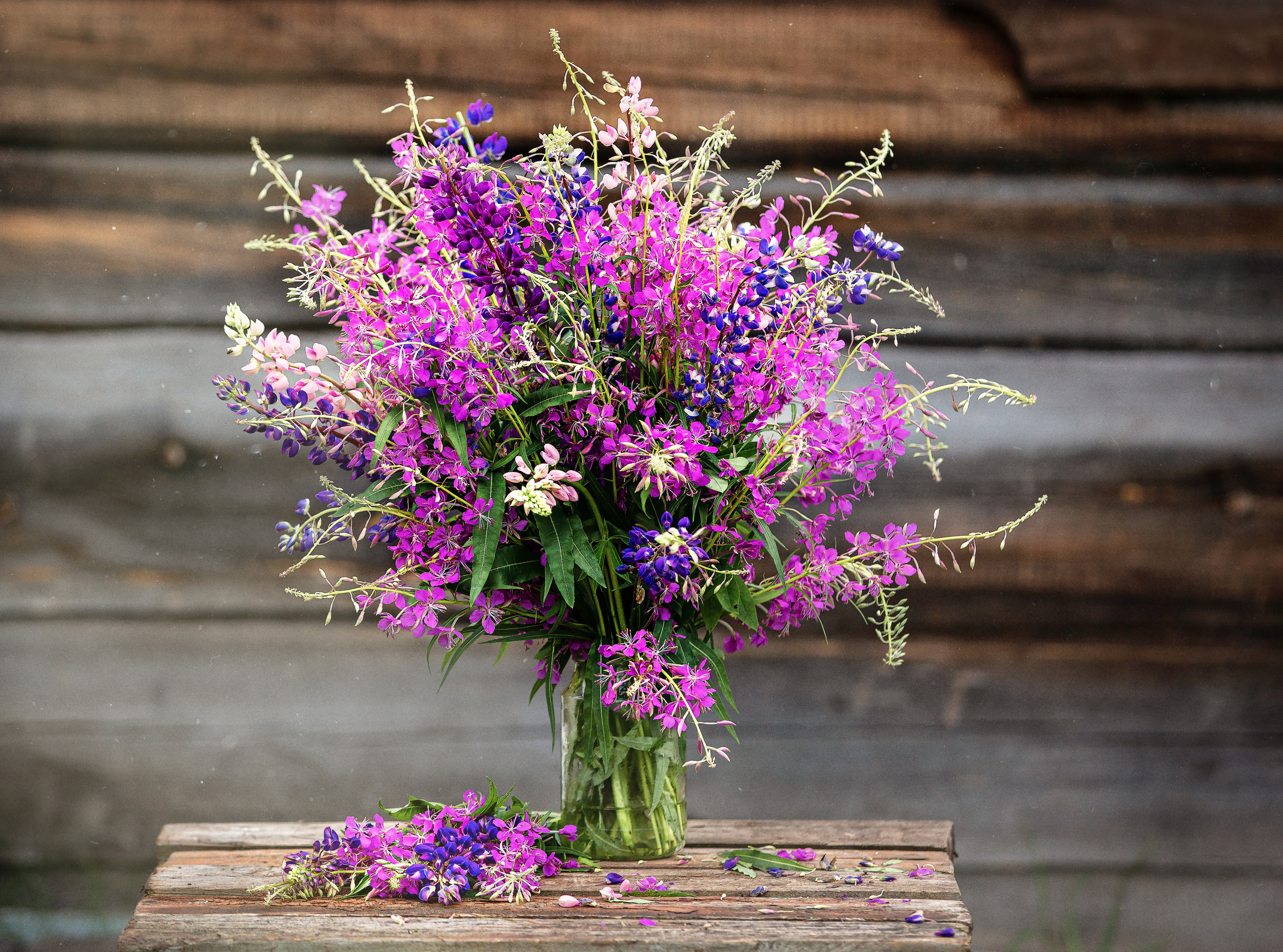 Ягодки, цветочки и все такое для души…. Фотограф — путешественник Светлана Романовская