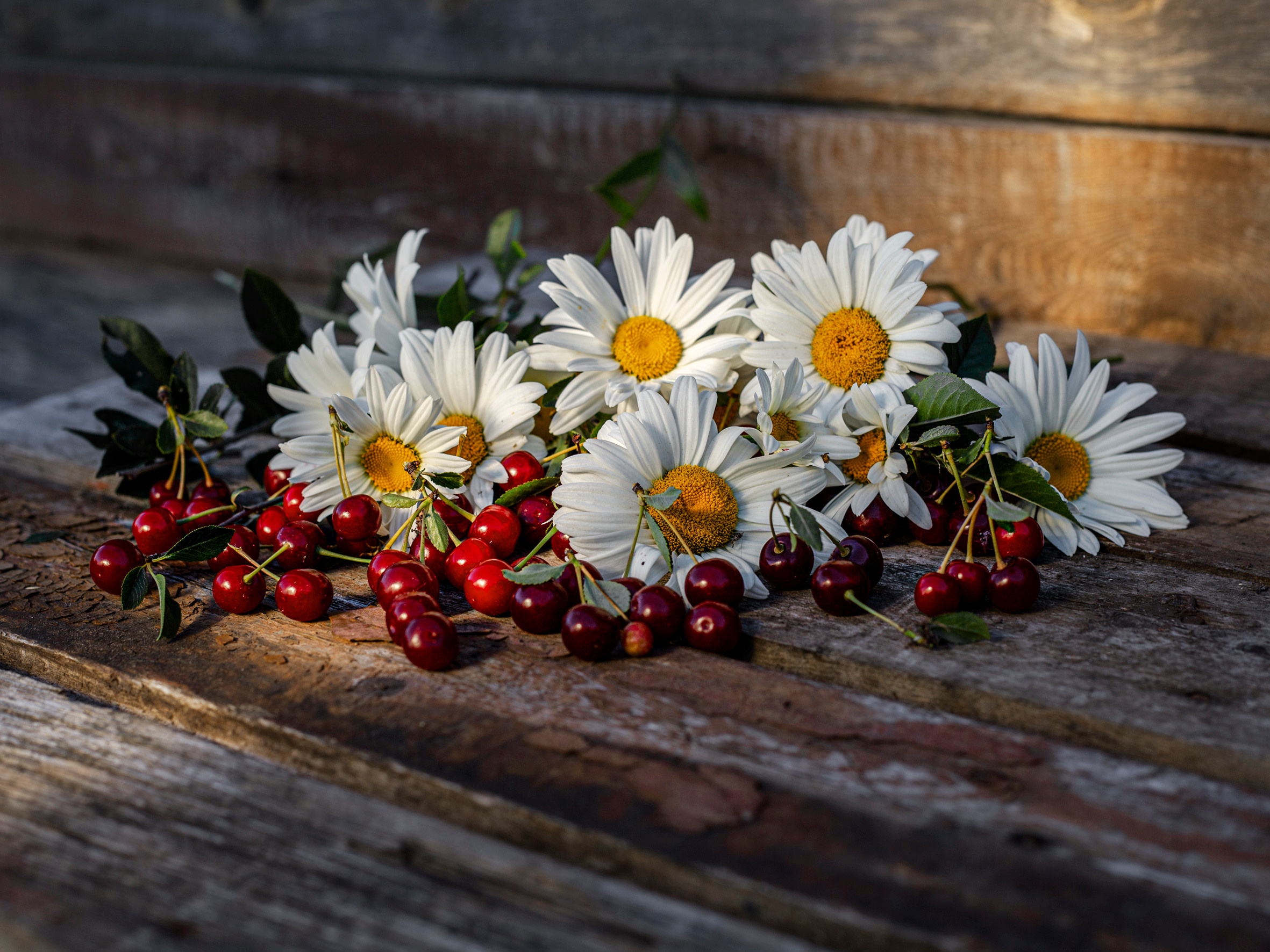Ягодки, цветочки и все такое для души…. Фотограф — путешественник Светлана Романовская