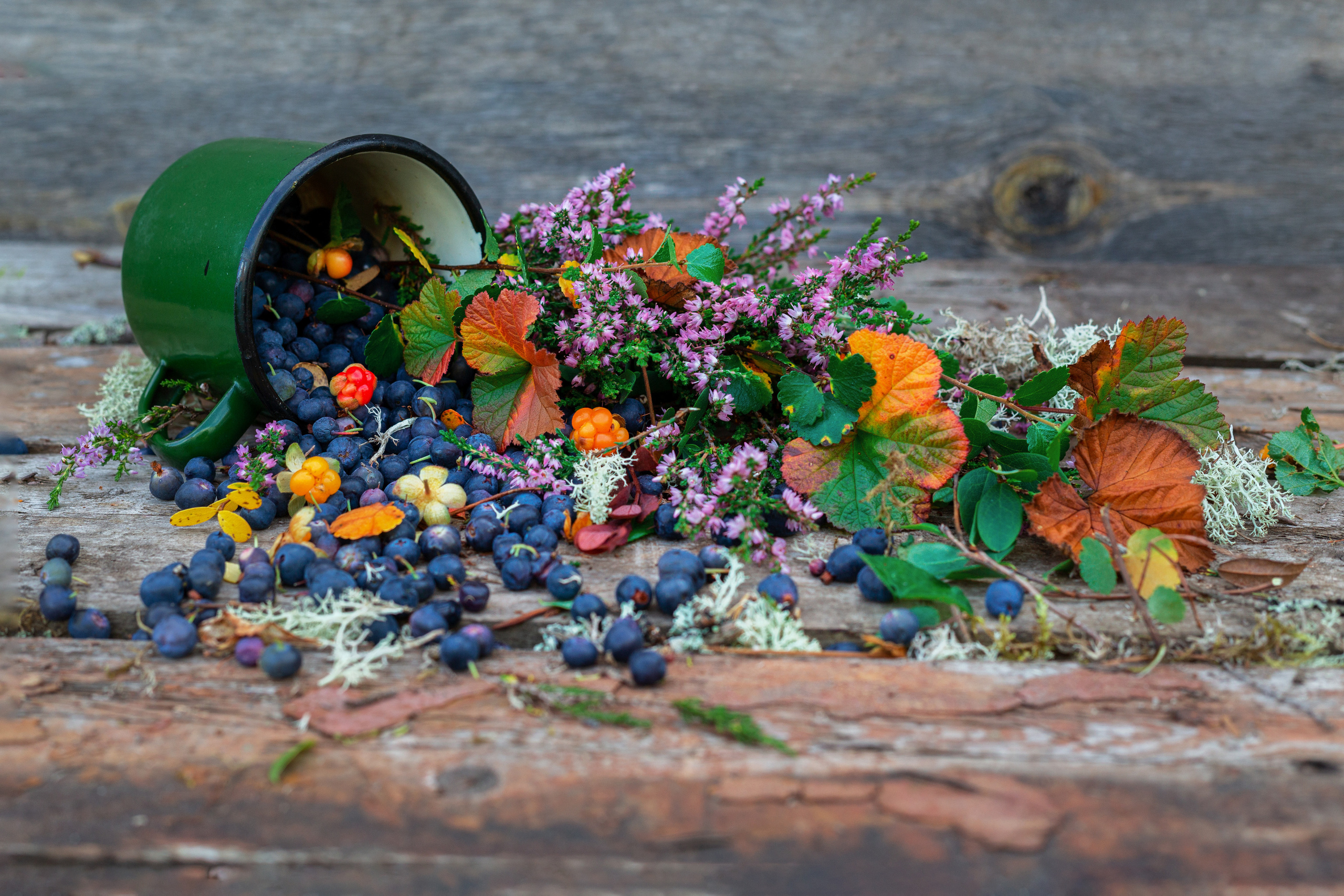 Ягодки, цветочки и все такое для души…. Фотограф — путешественник Светлана Романовская