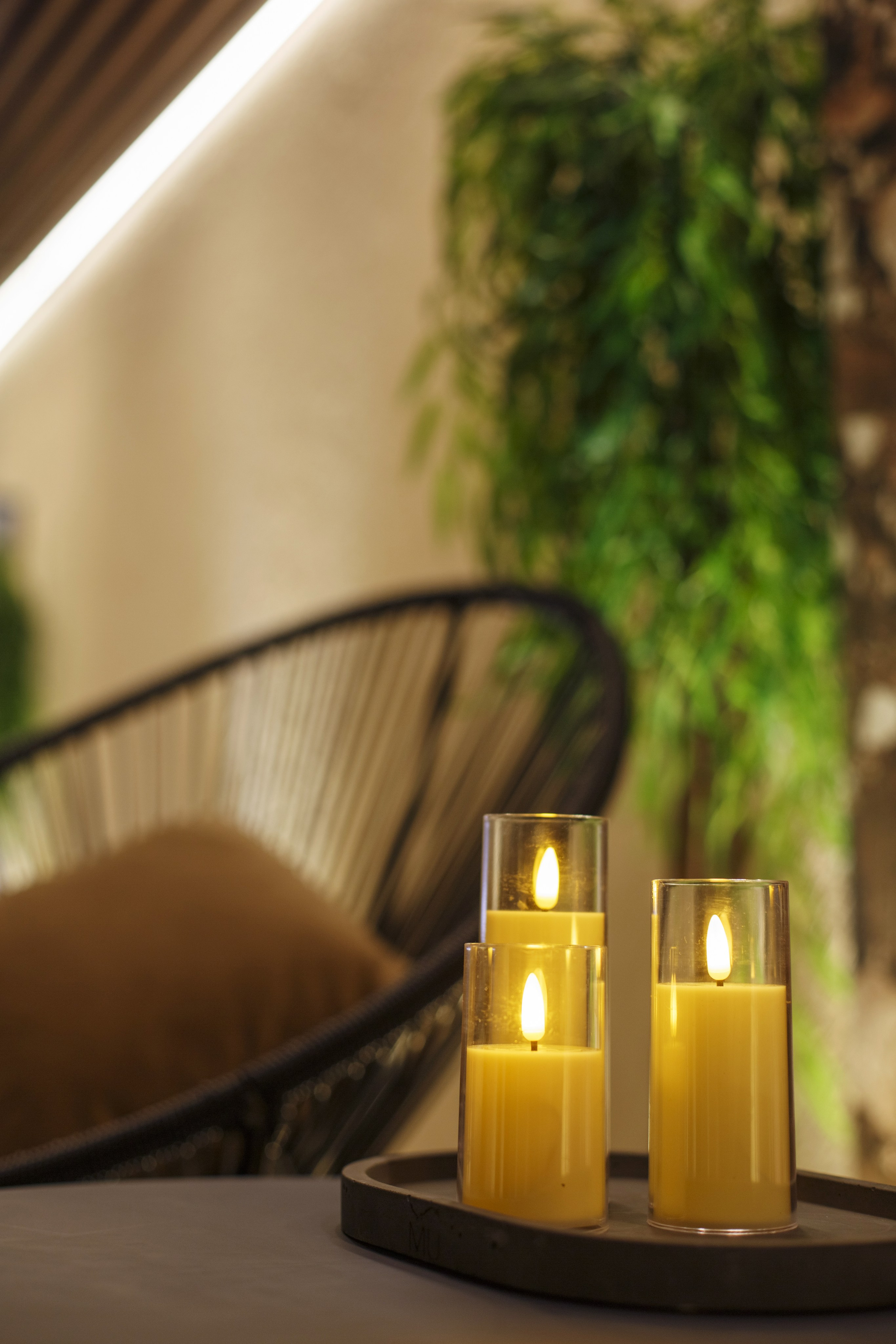 Органик. Портфолио