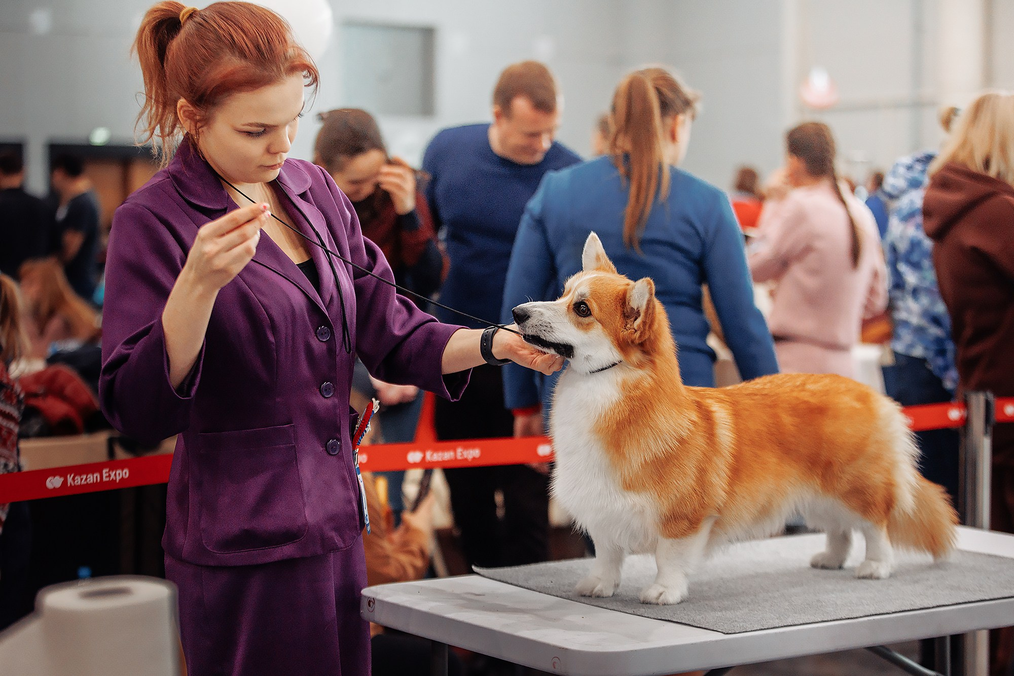 28-29.01.2023 — Казань «Сабанеевка». Фотограф-анималист Саша Вязьмина