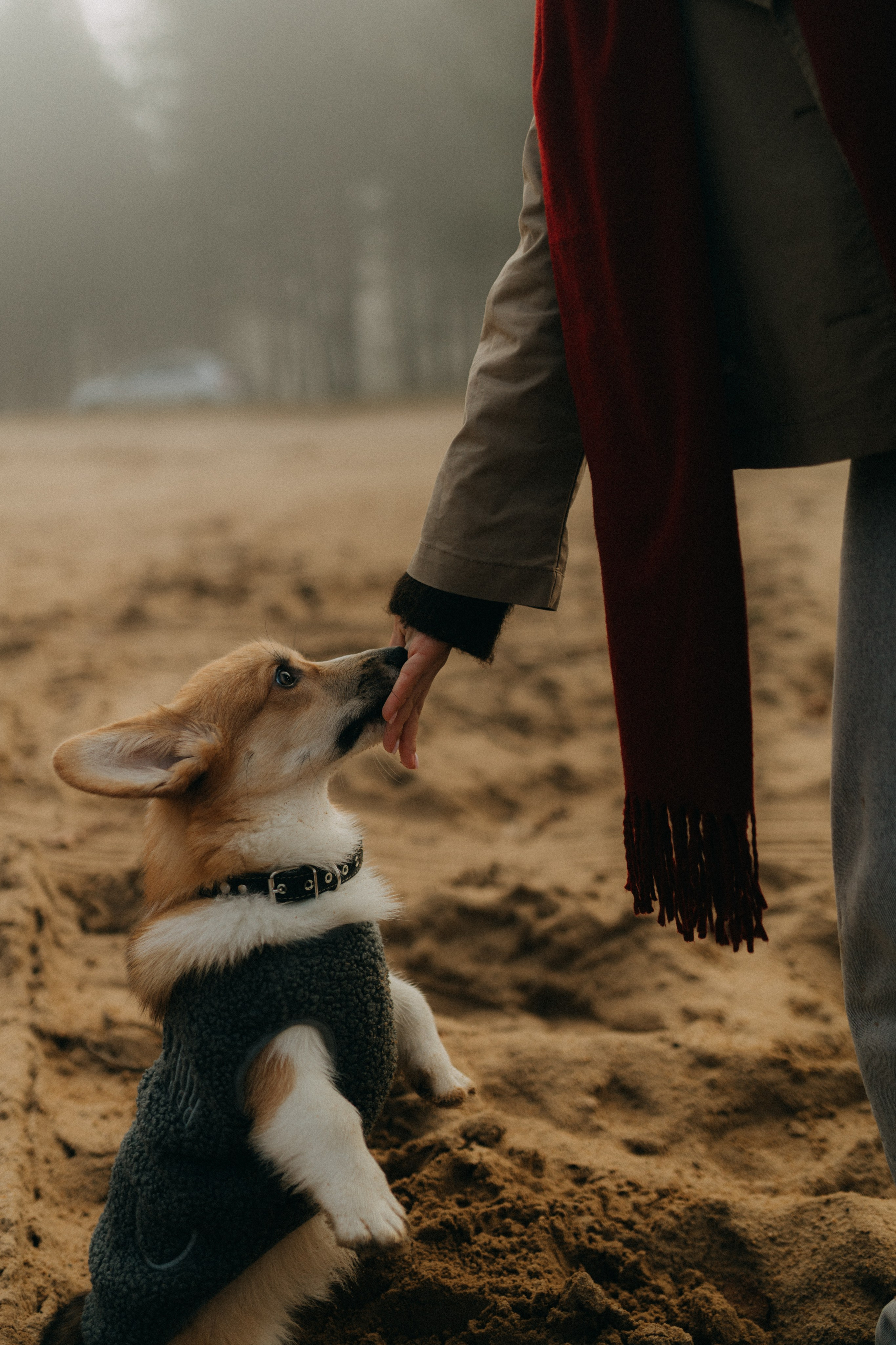 Алина. Фотограф НОГИНСК, Москва, Анастасия Белая