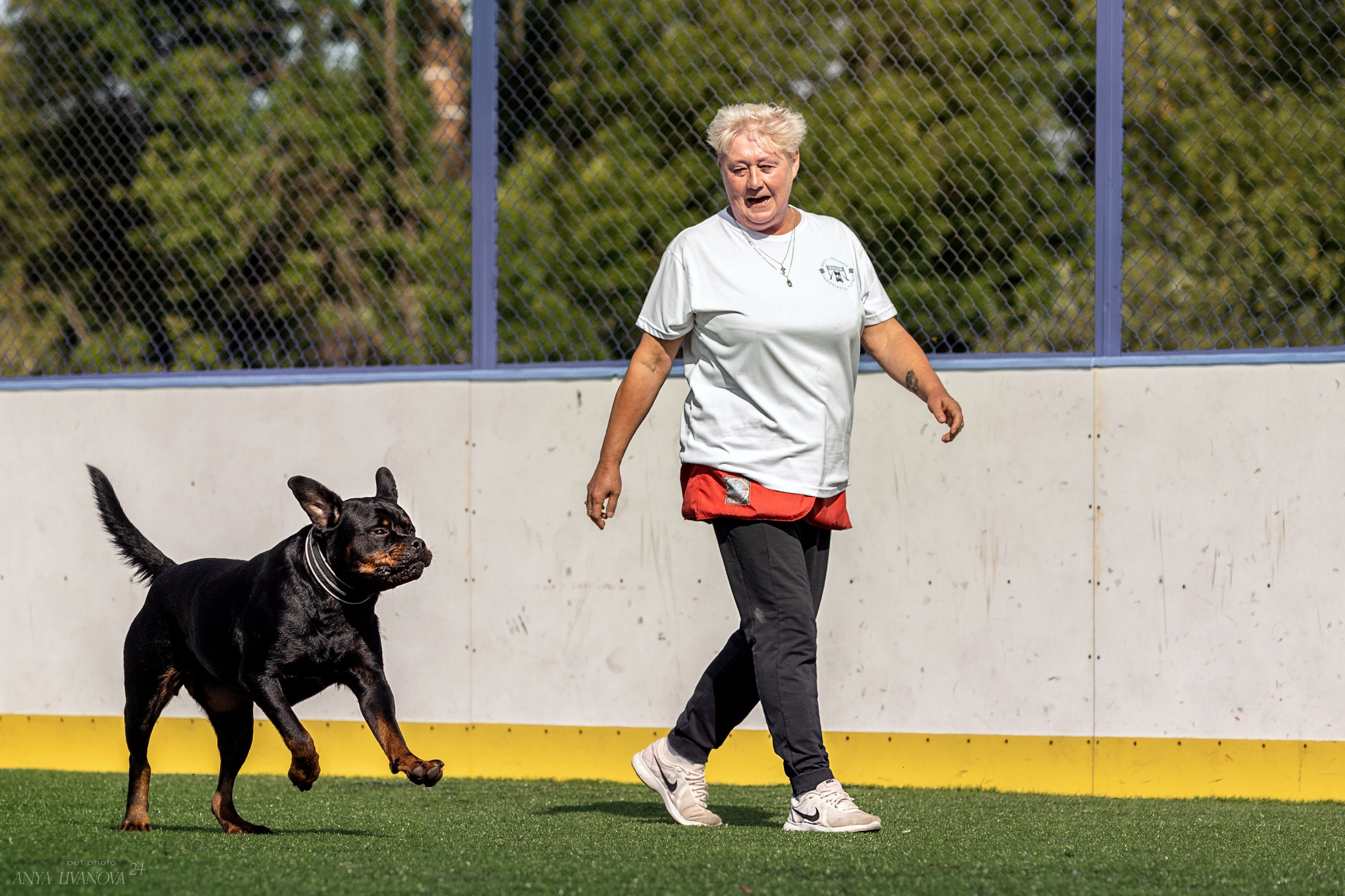 Ралли обидиенс. Фотограф анималист Аня Ливанова | Рыбинск