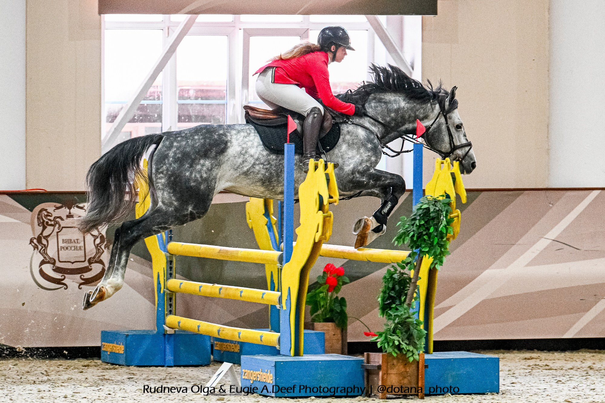 2025.11.16 — КСК Виват, Россия! — конкур, ФИНАЛ международные соревнования. ТУРНИРНАЯ КОННАЯ ФОТОГРАФИЯ, Руднева Ольга и Евгений Адеев