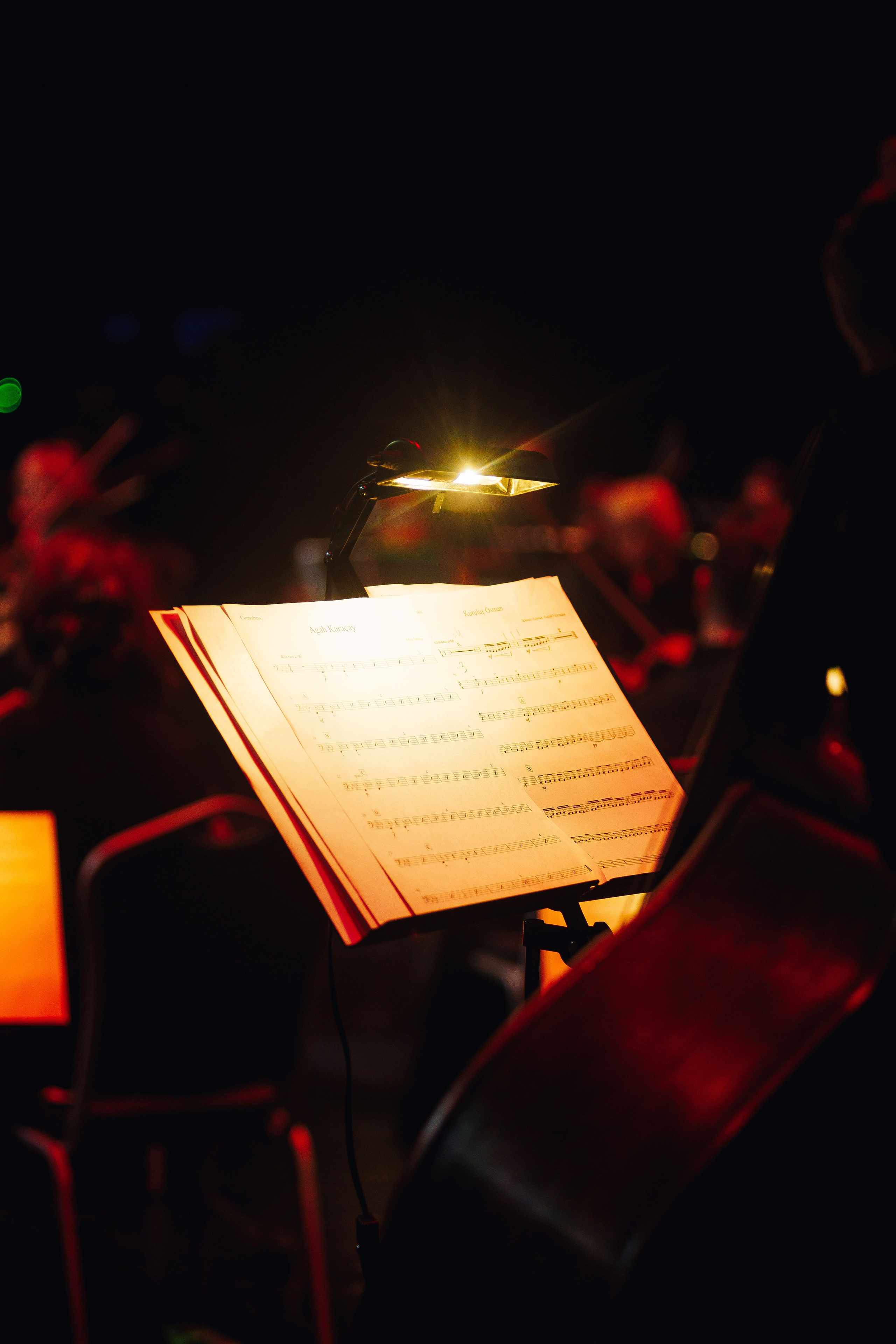 Symphony of the cinema (Turkish TV series) at Amber Hall. KRIS KRUPINNIKOVA