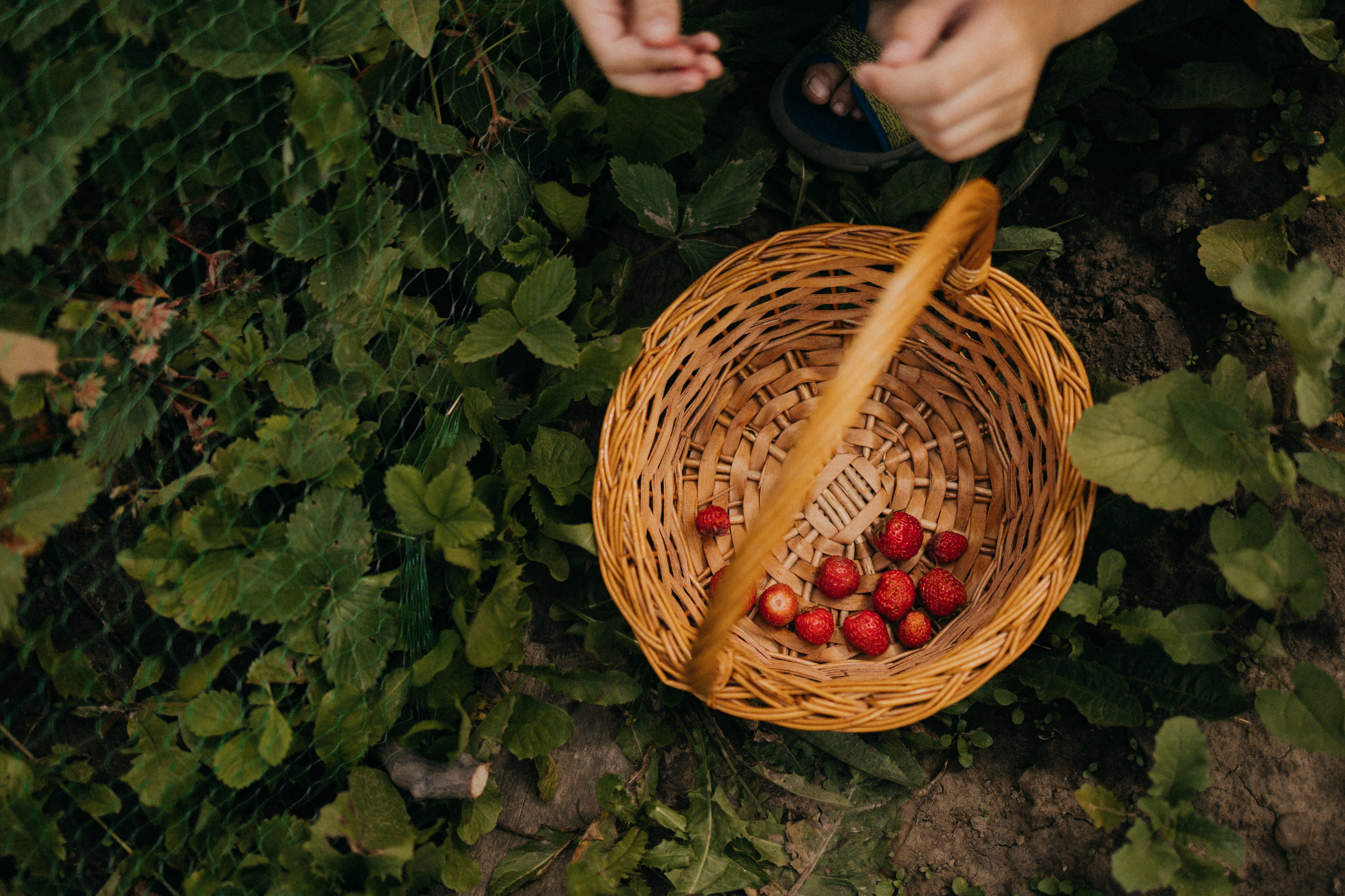 Июль. Дача. Фотограф Настя Леонова