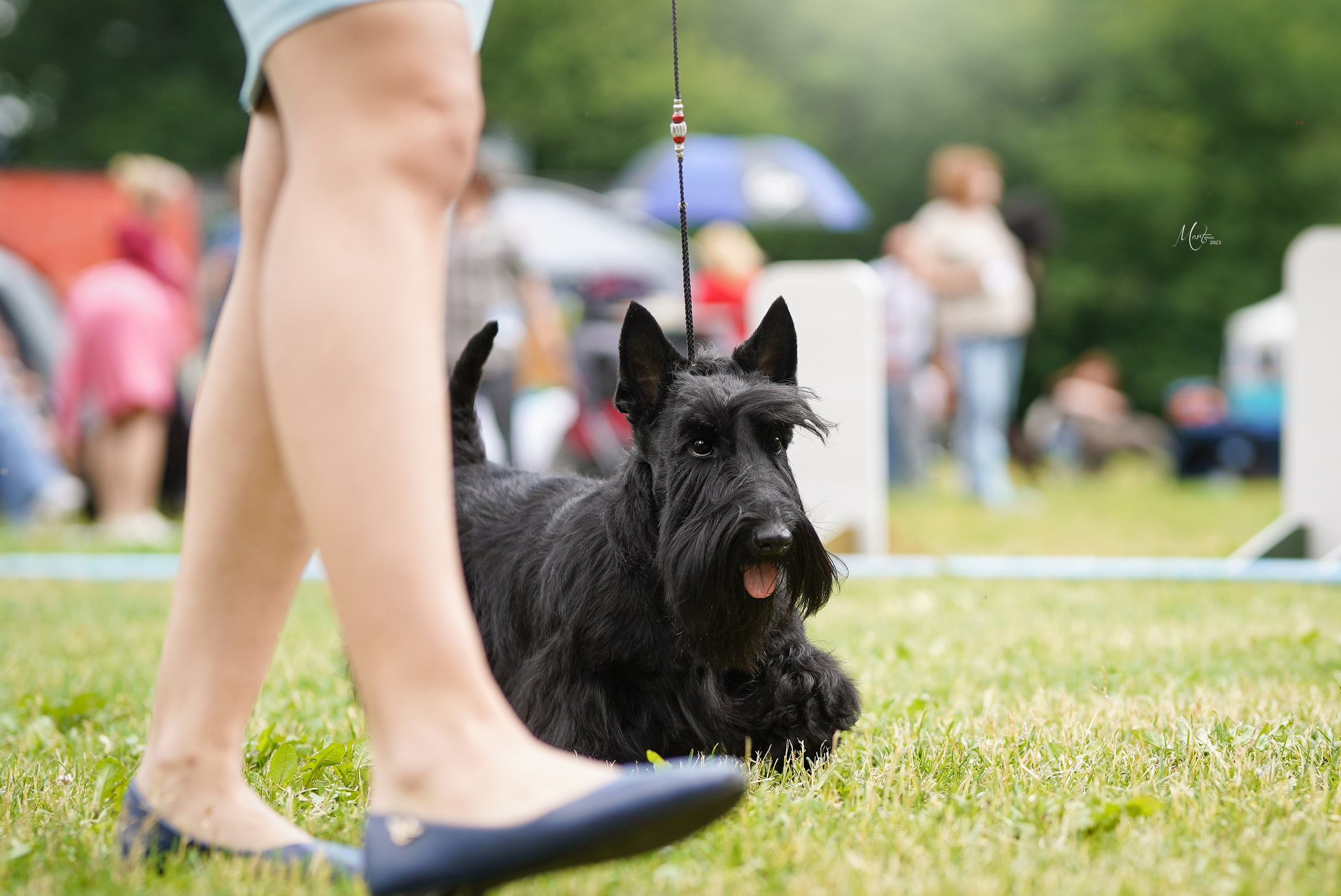 Выставки 2023. Фотограф-анималист в Санкт-Петербурге Яна Мартынова