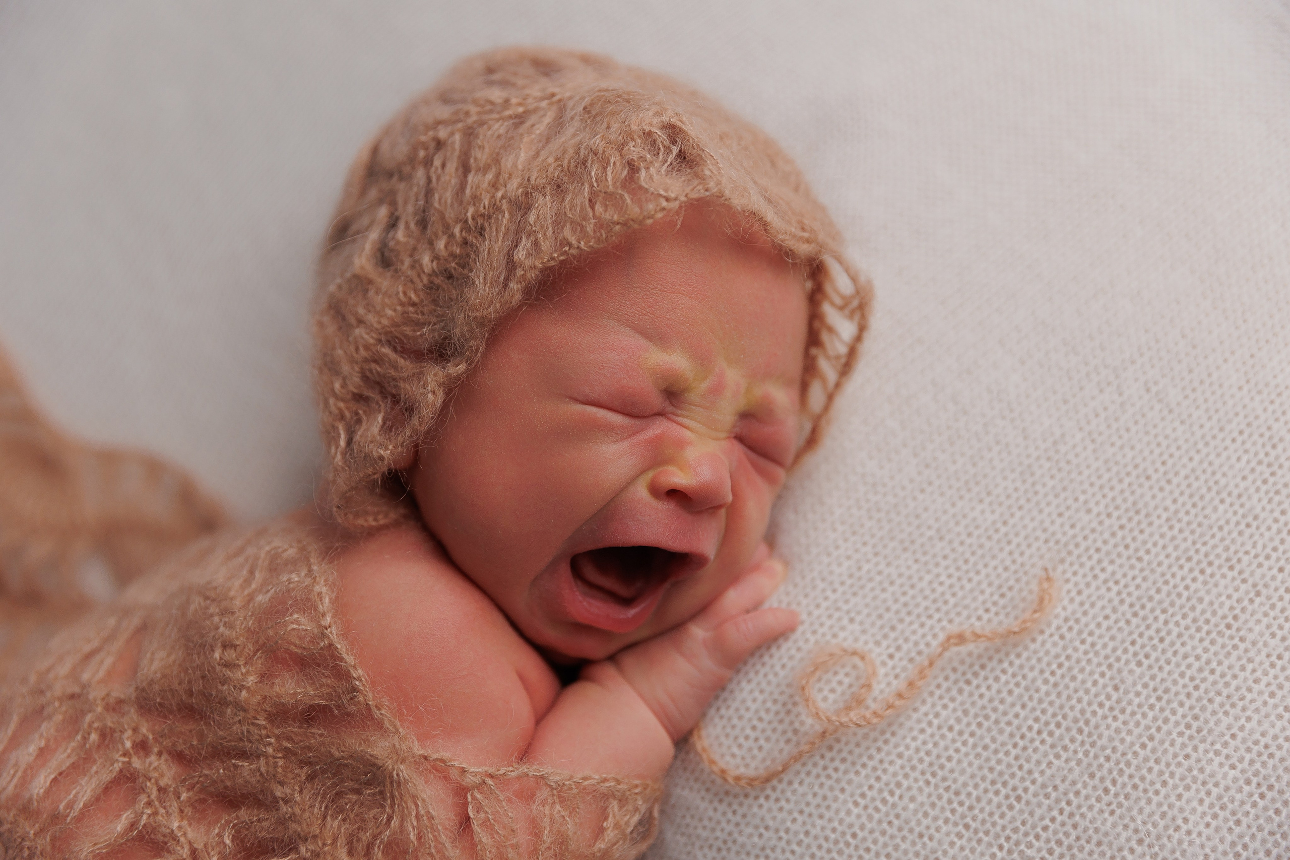 Newborn. Фотограф Лодейное Поле Екатерина Герасимова в Санкт-Петербурге и Лен. области