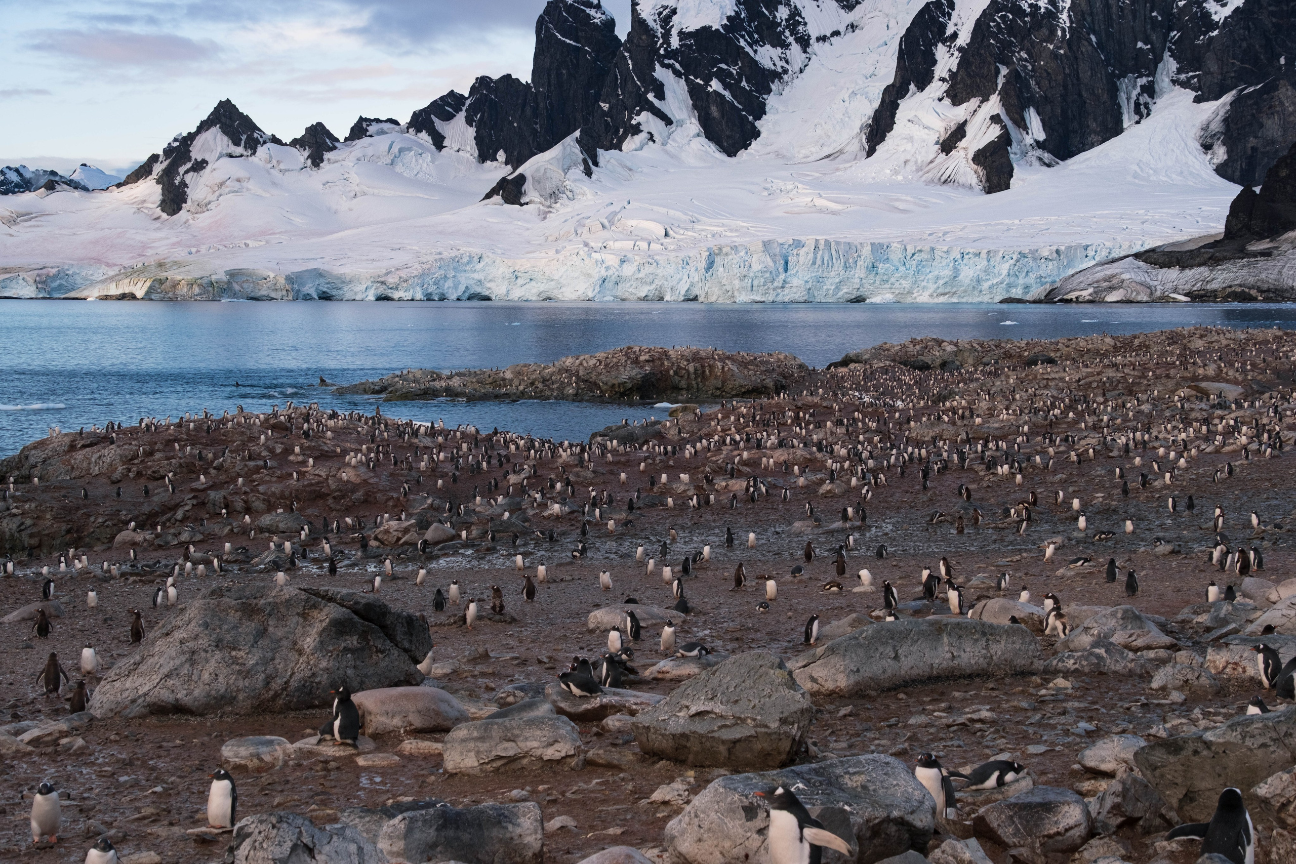 Материк и льды. Фотографии из путешествий