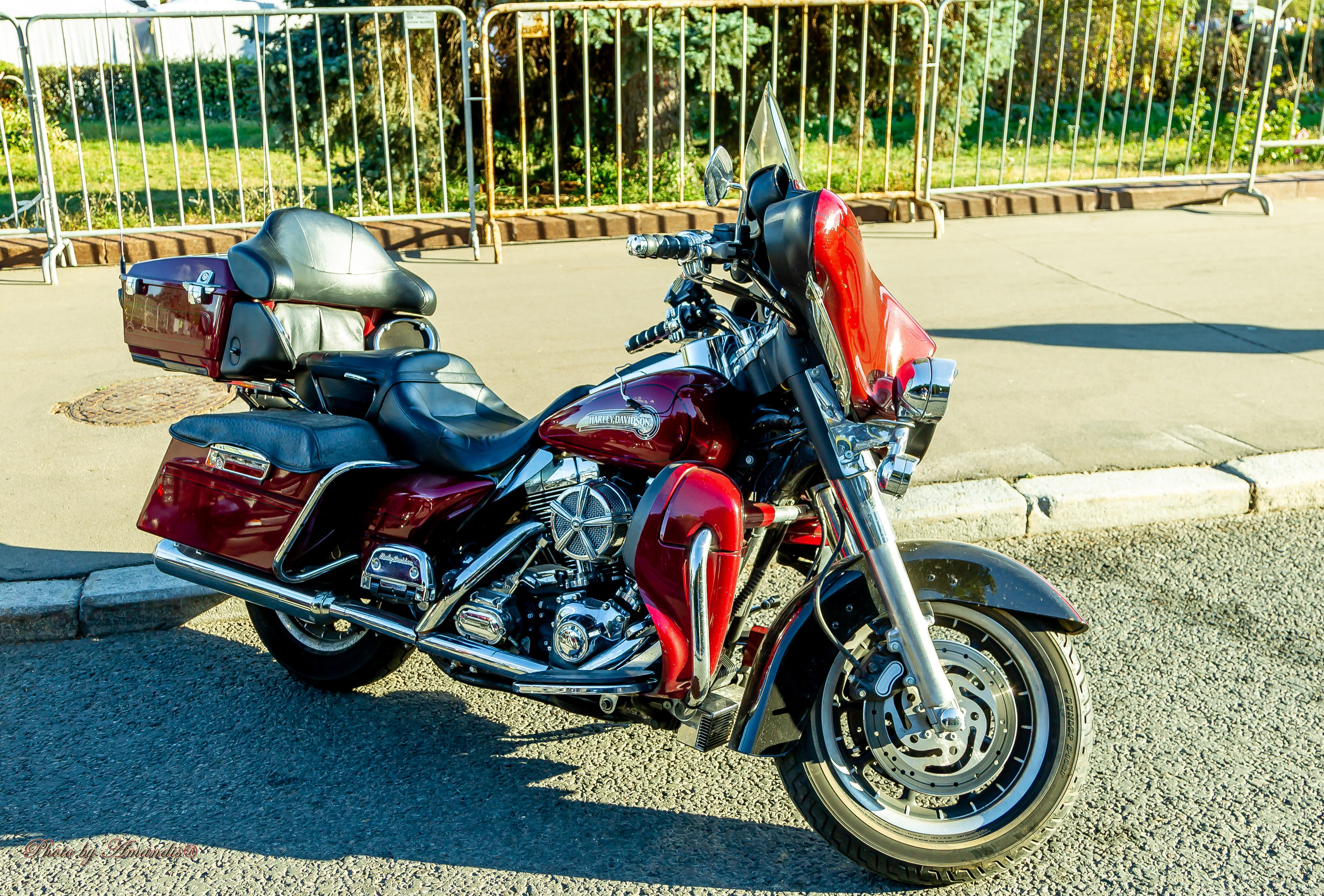 ЗАкрытие мотосезона 2024. Репортажная съемка в Москве и области. Анималистика