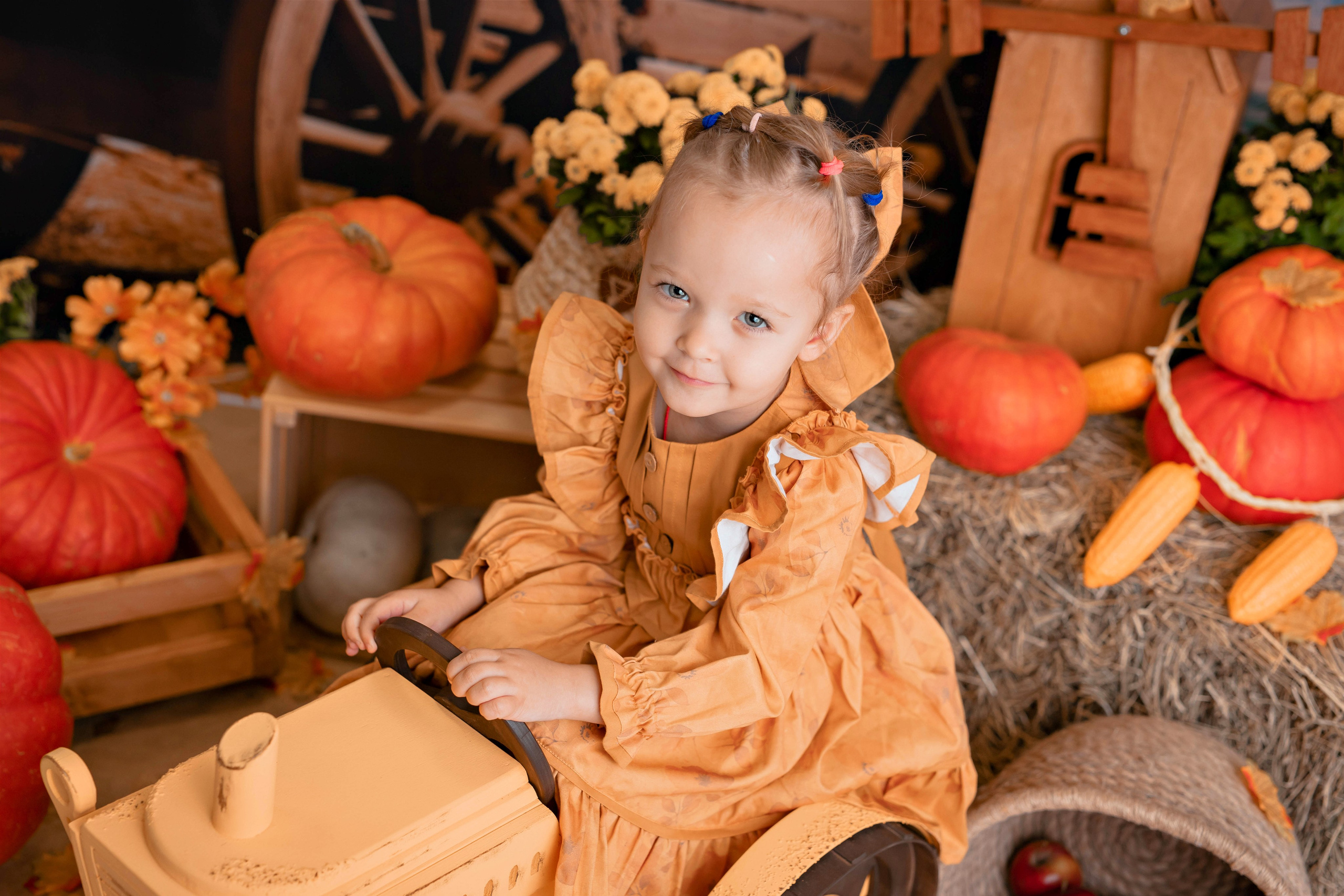 Тыквы. Фотограф Болотова Иветта