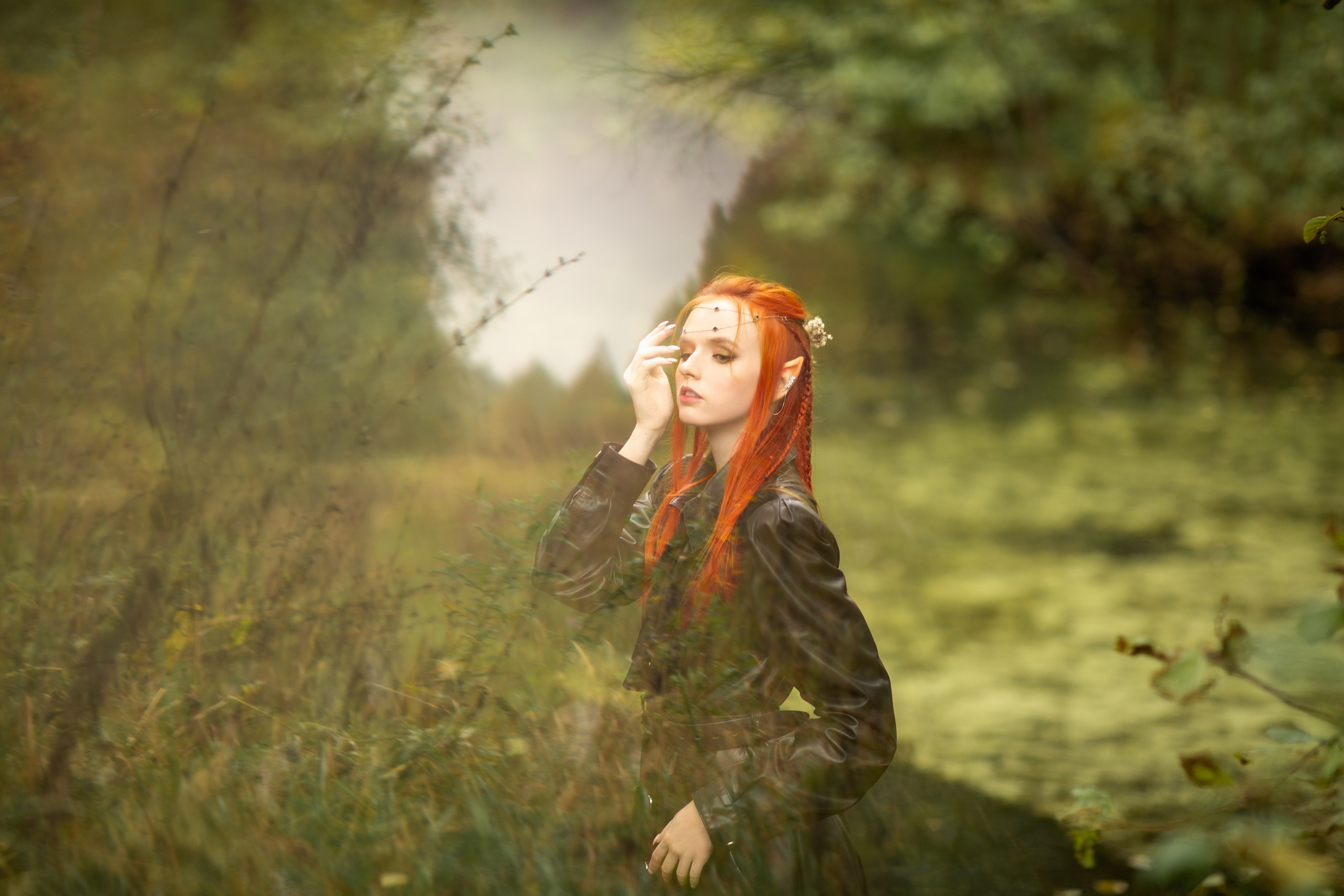 Волшебный лес