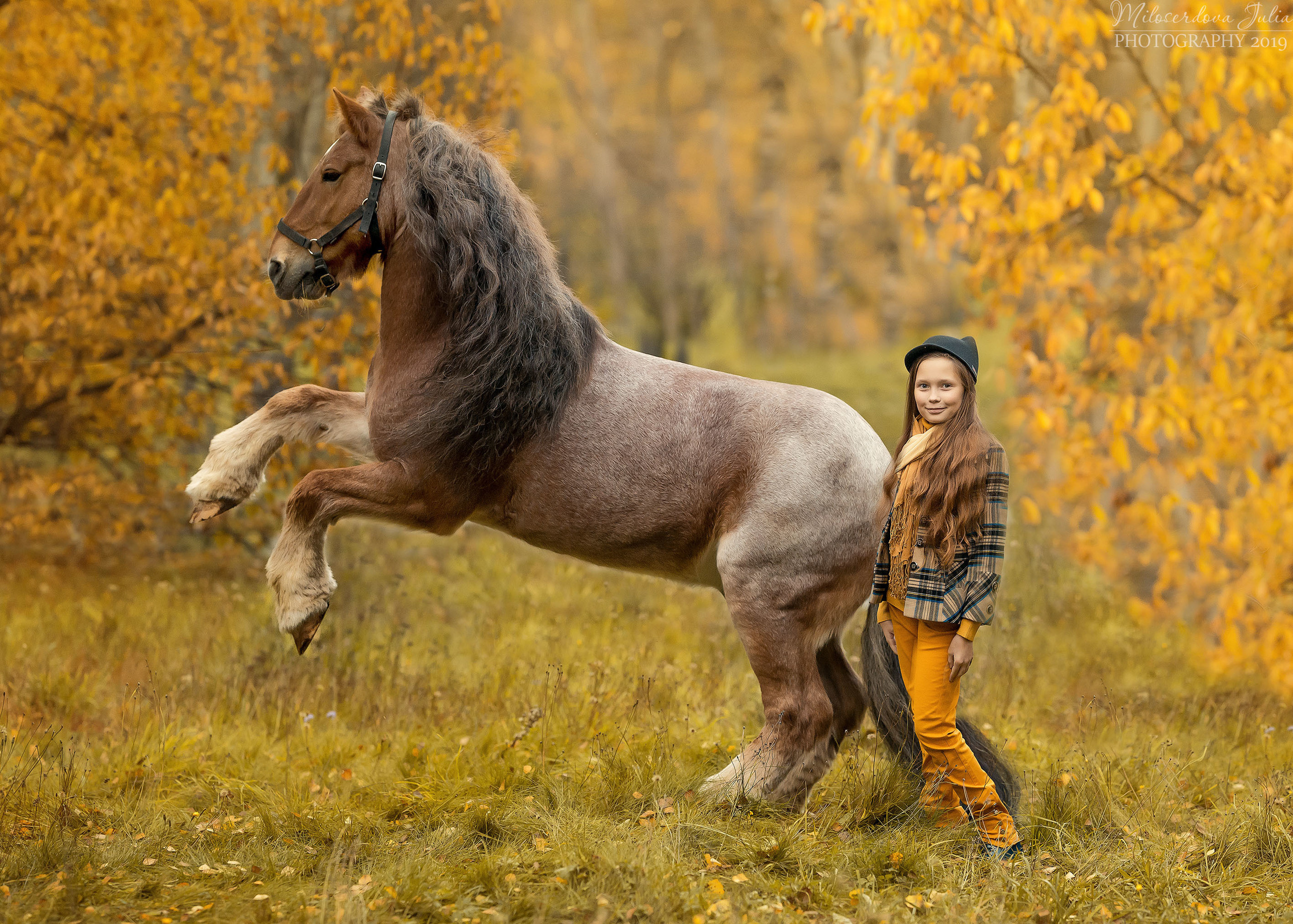 Фотосессии с лошадьми. Фотограф Юлия Милосердова