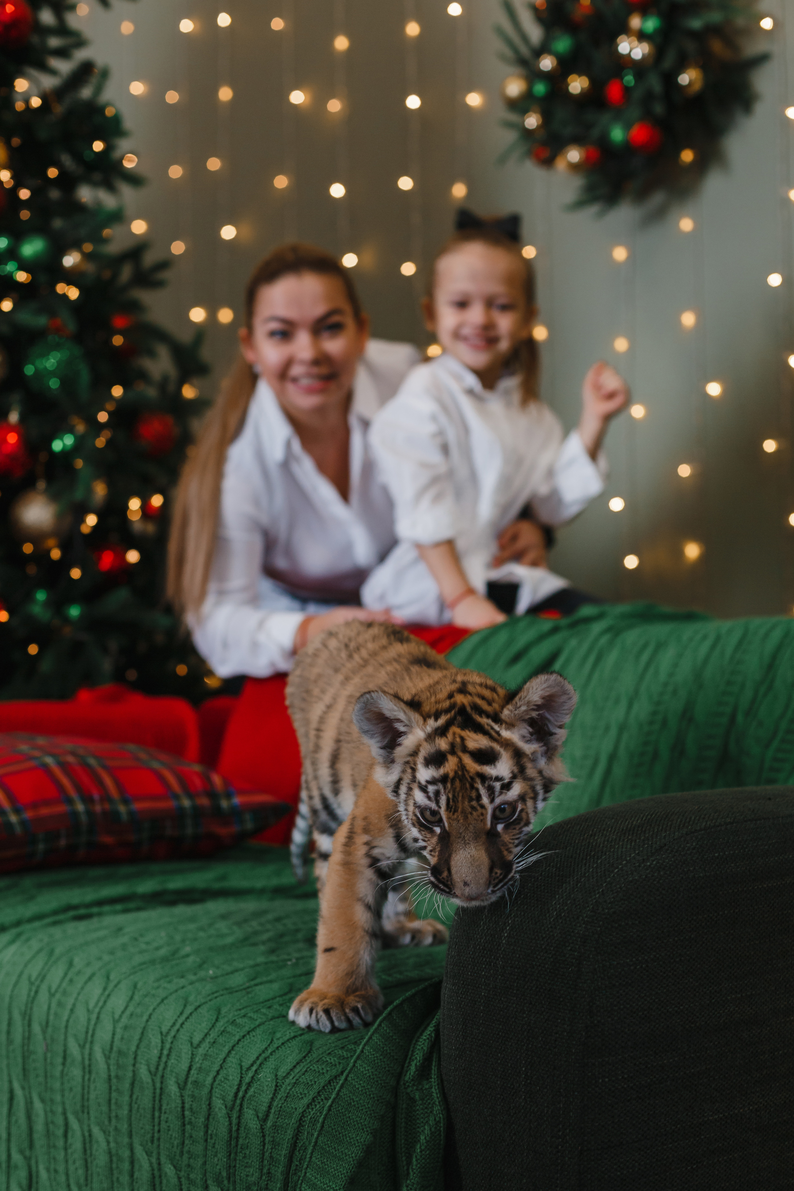 Дима, Ксения и Стеша. Семейный фотограф Николаева Ольга