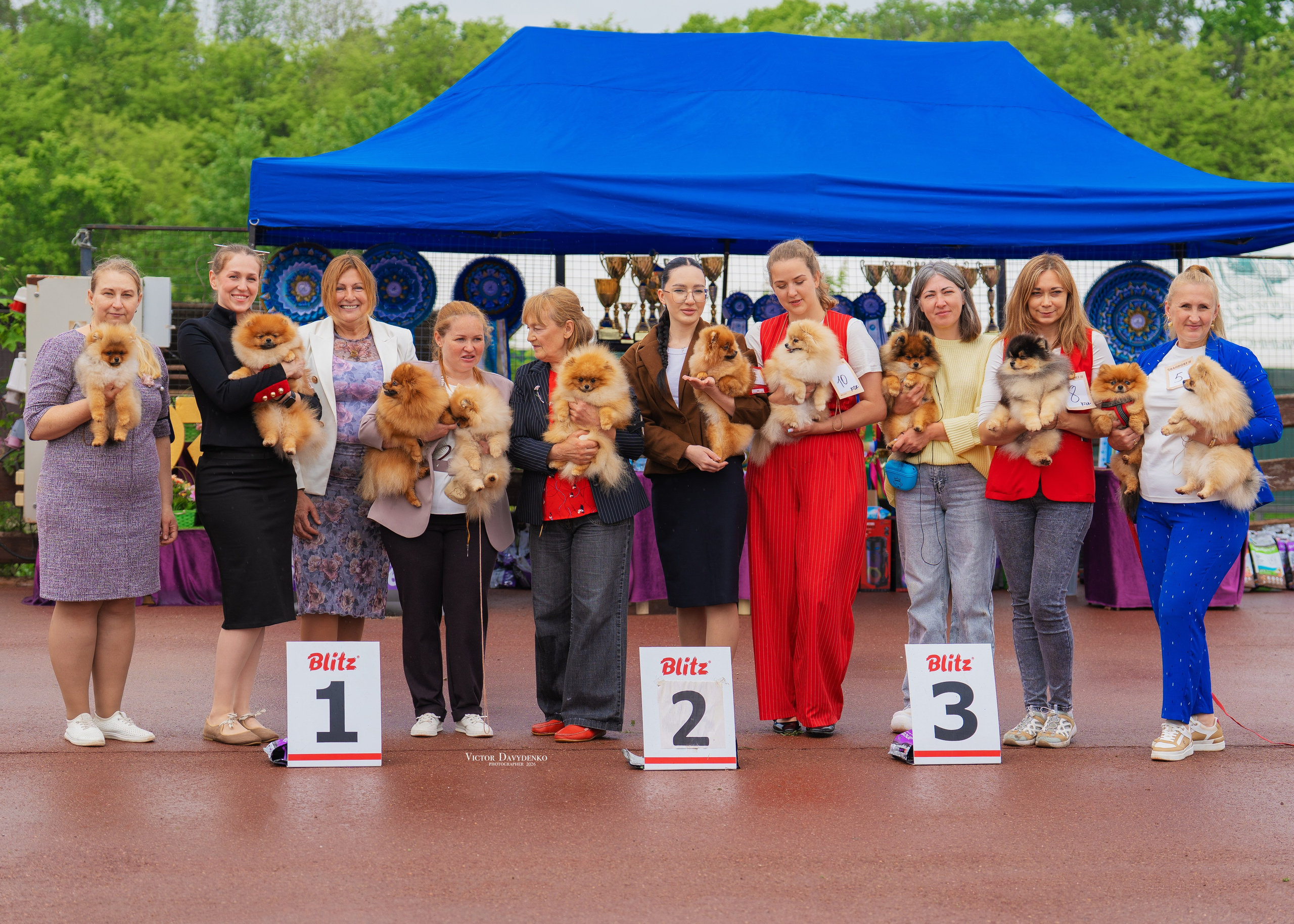 Dog Show. Давыденко Анна / Фотограф Краснодар/Сочи