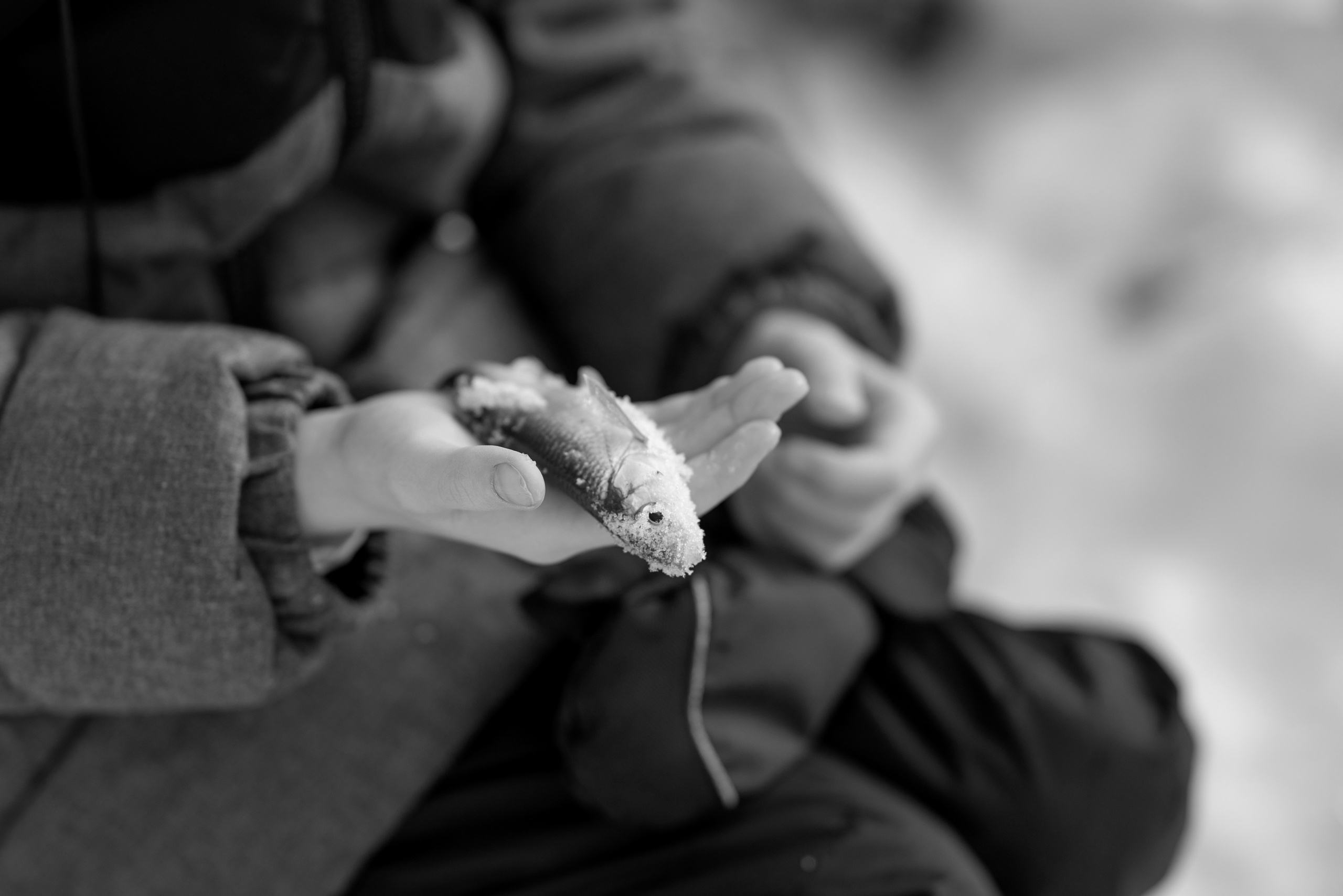 Зимняя рыбалка. Фотограф в Тюмени Голышева Елена