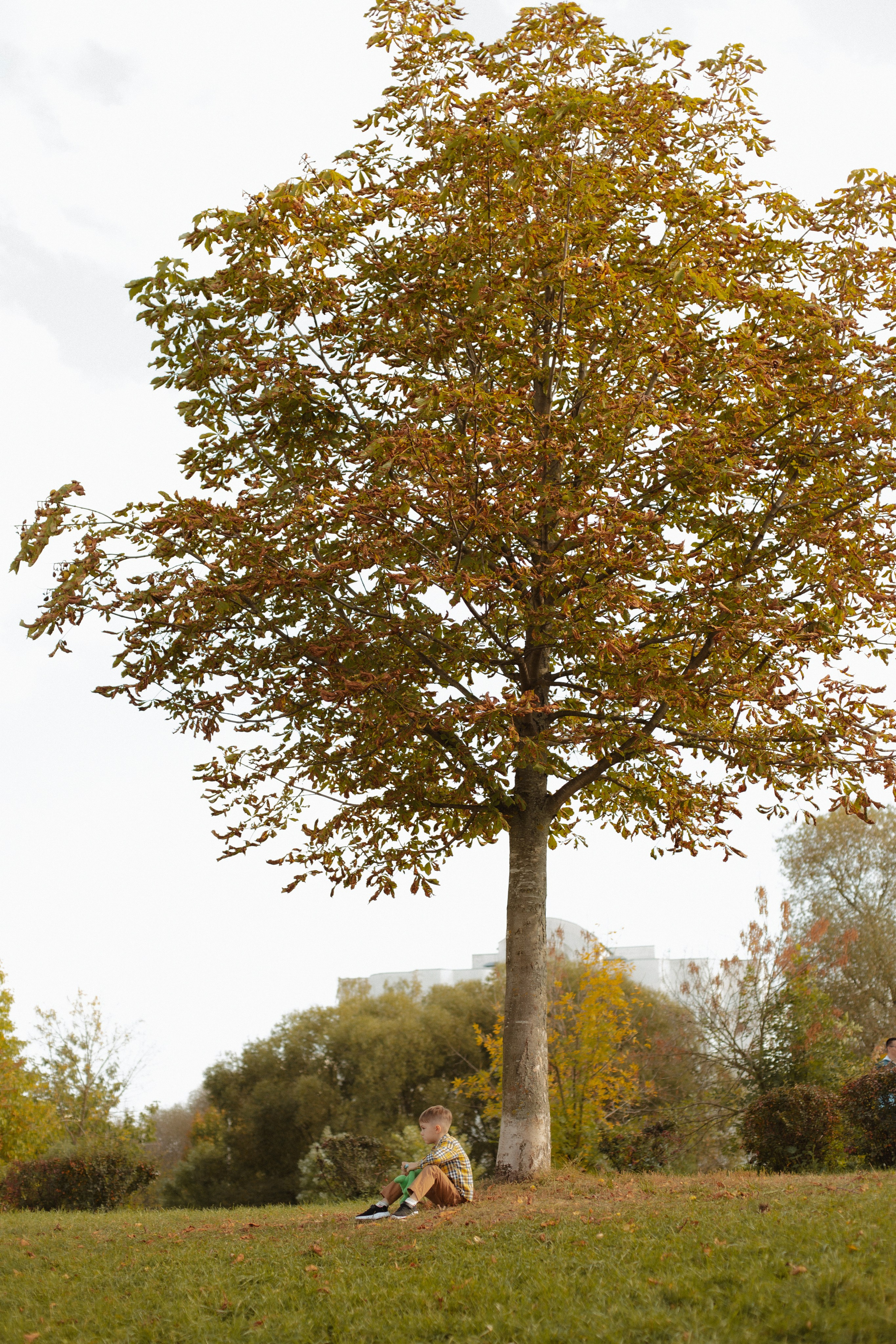 Серафима. Фотограф москва