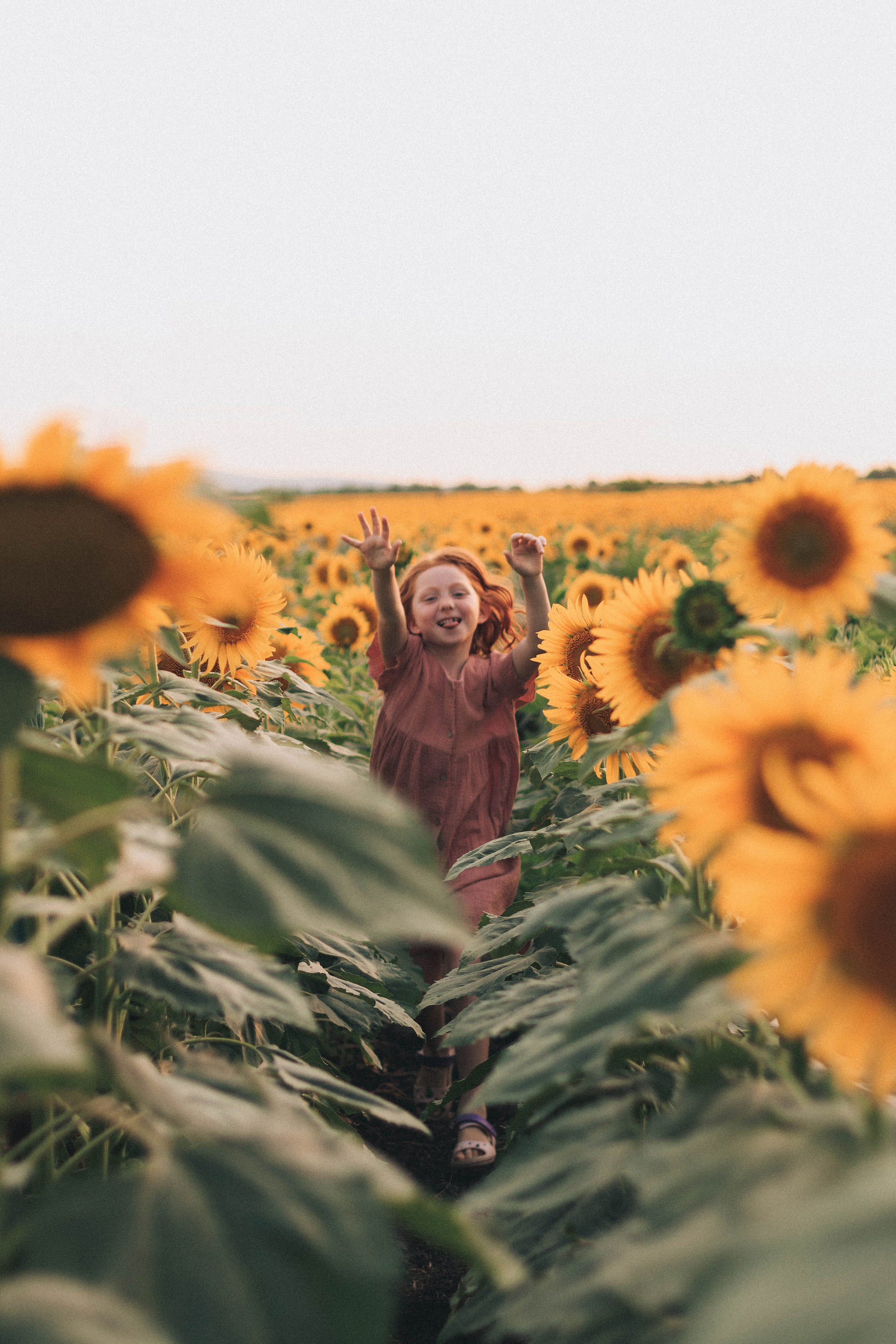 В подсолнухах. Фотограф в Краснодаре Ксения Мархинина