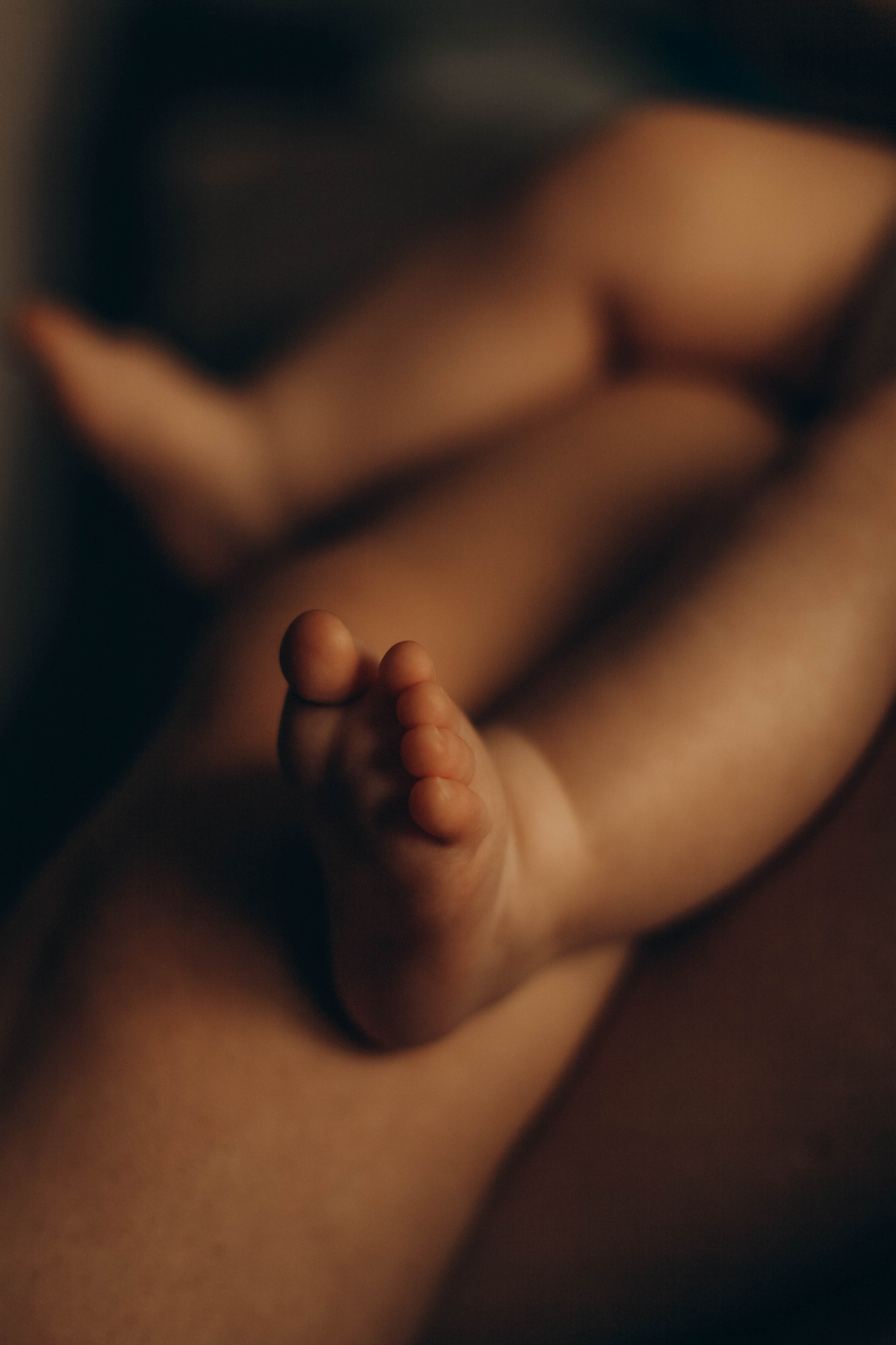 Миша. Семейная фотография в Санкт-Петербурге Елизавета Шепель