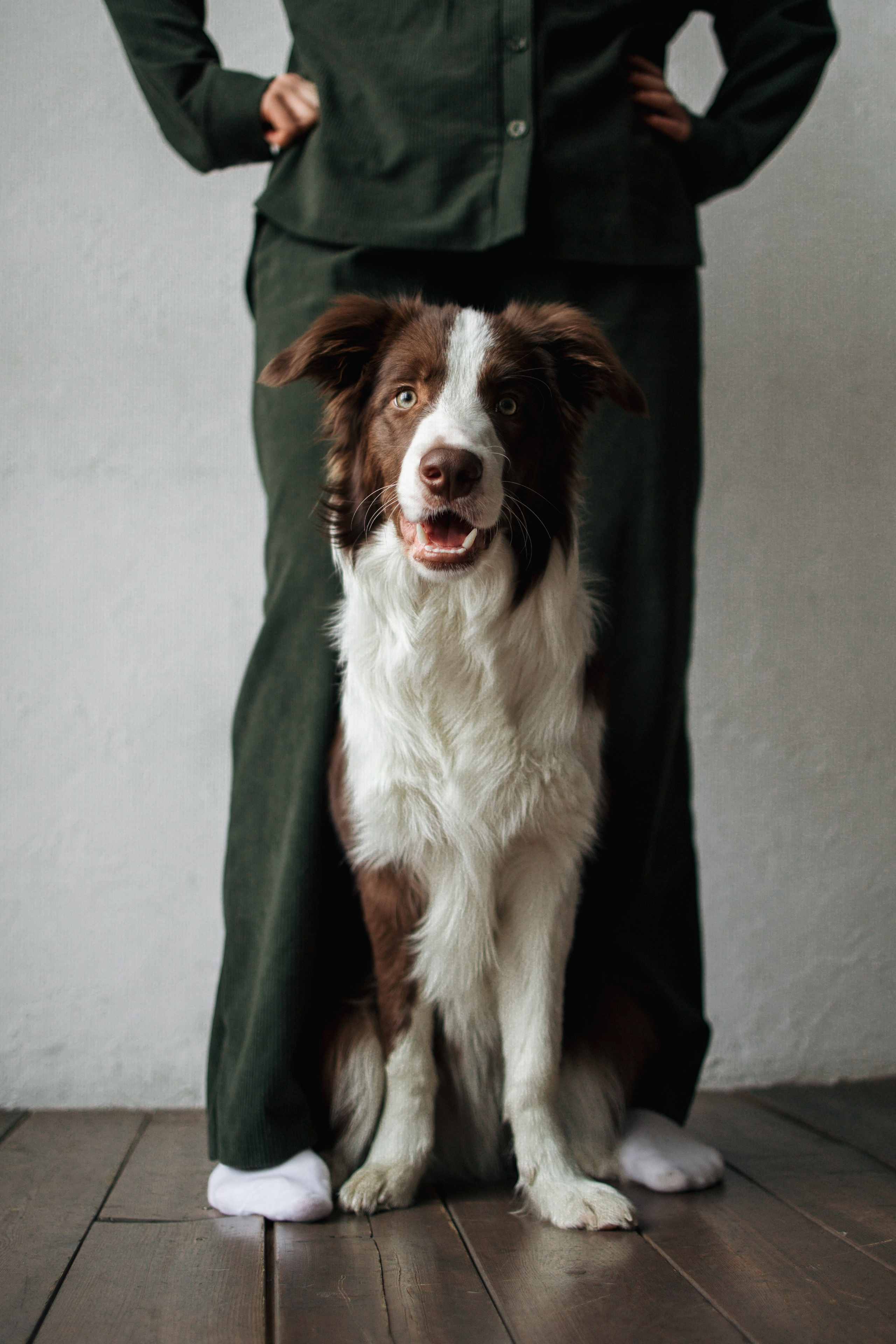 Настя и Симба. Фотограф — Анималист | Санкт-Петербург