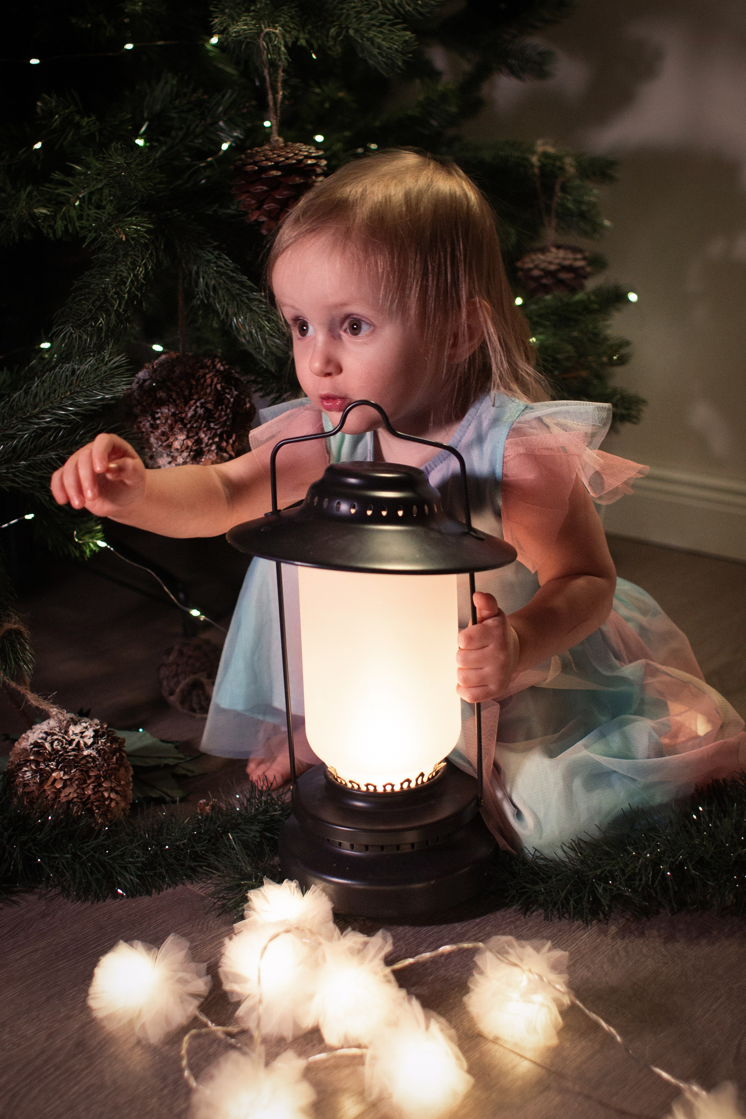 Новый год. Фотограф Дарья Улюсова