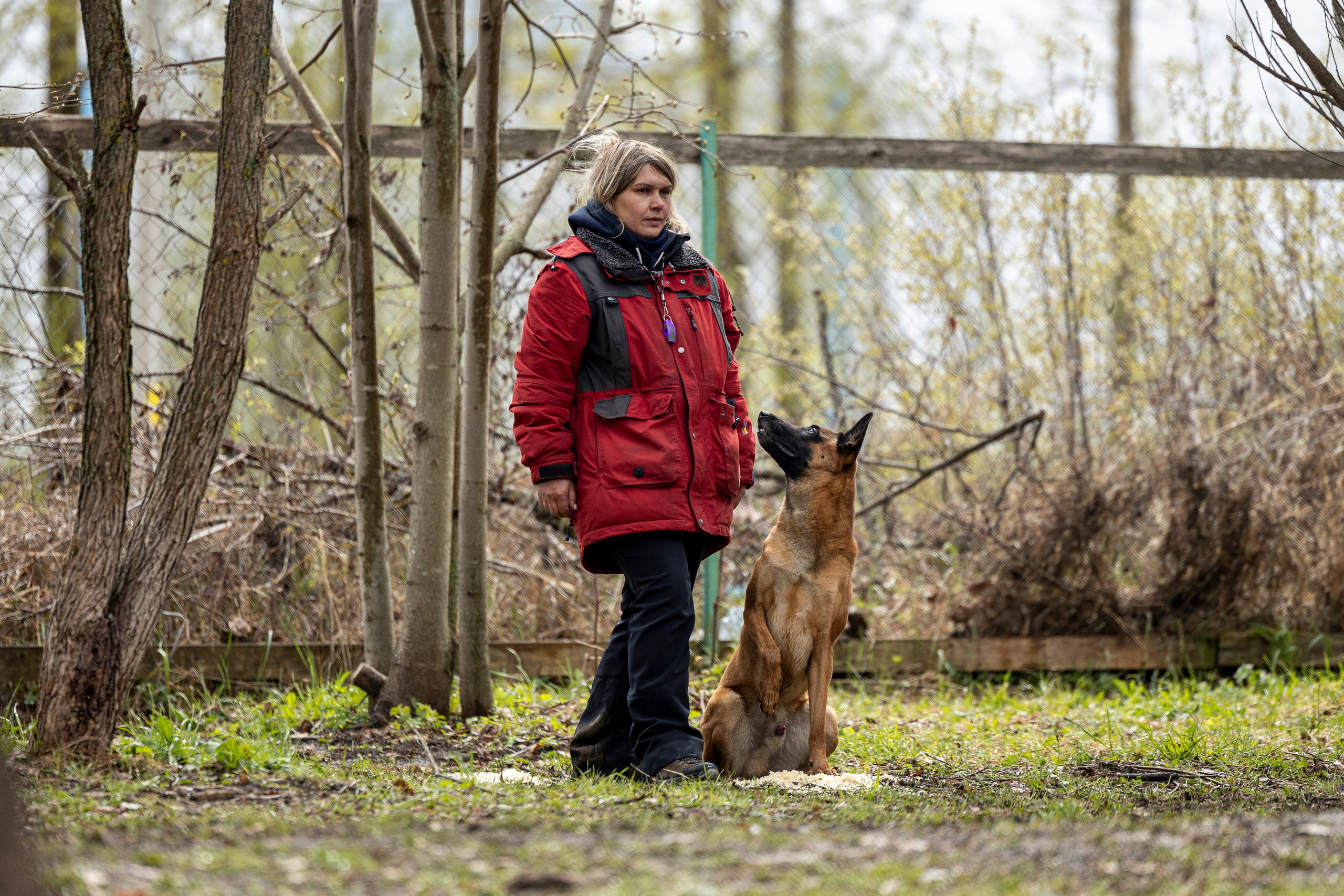 Квалификационные состязания по мондьорингу г. Вологда 11.05.24. Фотограф-анималист Анна Маринич