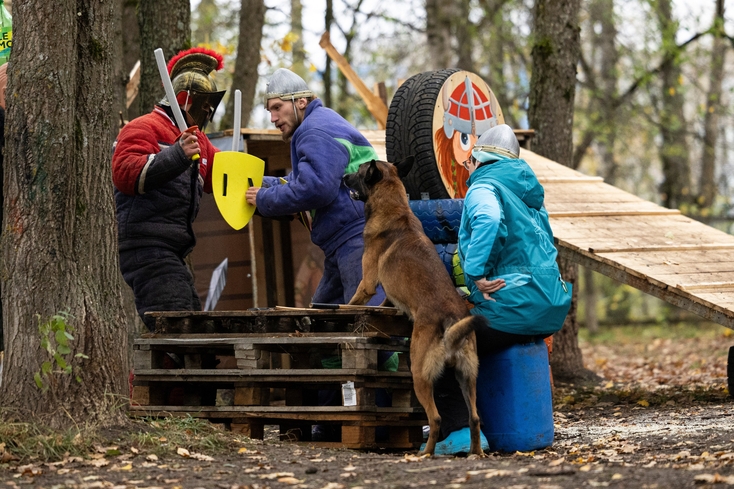 Соревнования по Мондьорингу г. Вологда. Фотограф-анималист Анна Маринич