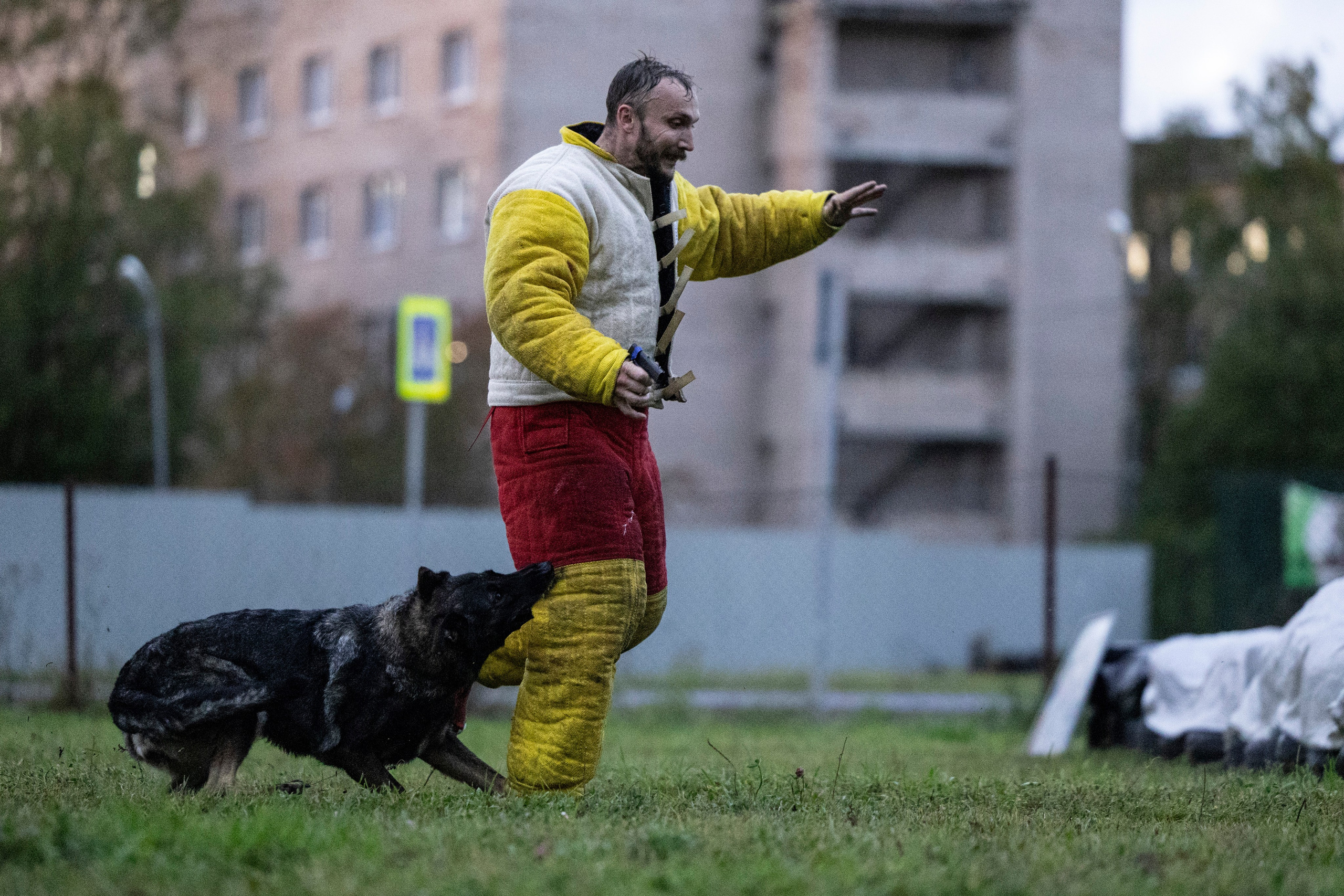 Испытания по Мондьорингу г. Пушкин. Фотограф-анималист Анна Маринич