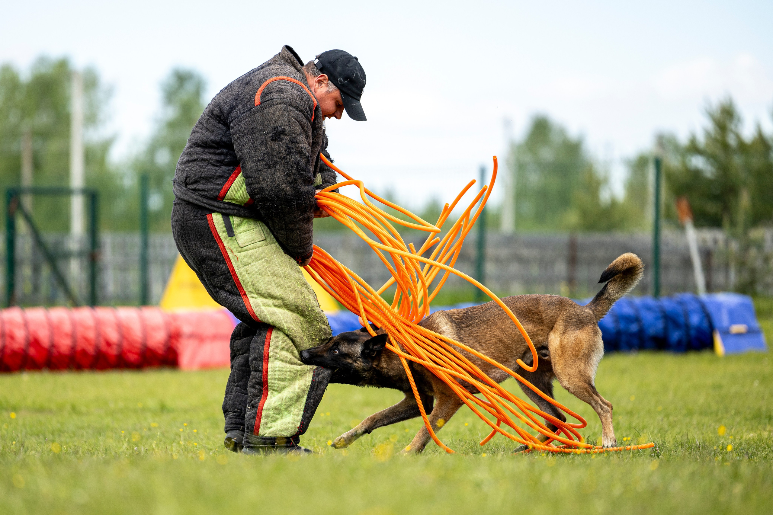 Испытания по мондьорингу в Нижнем Новгороде. Фотограф-анималист Анна Маринич