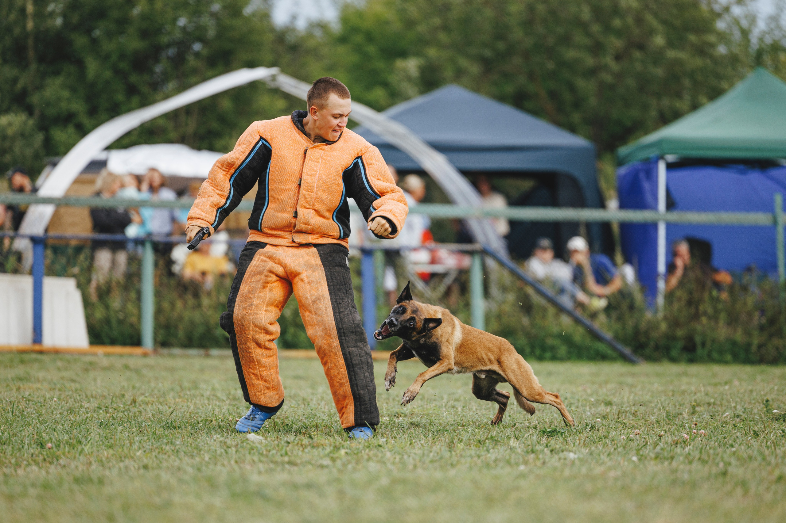 08.08.25-10.08.25 ЧР по мондьорингу г. Вологда. Фотограф-анималист Анна Маринич