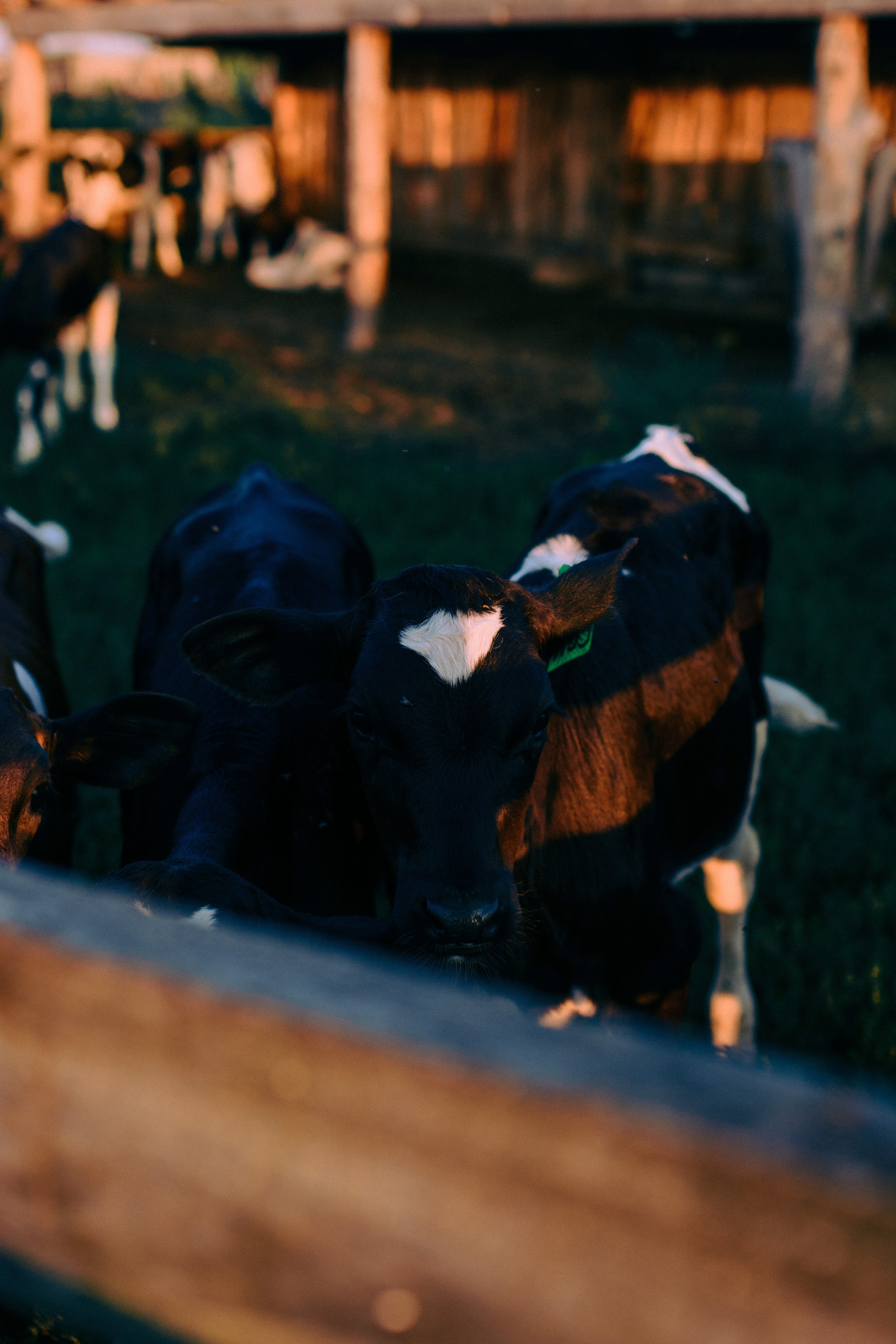 Va. Фотографирую искусство в Хабаровске