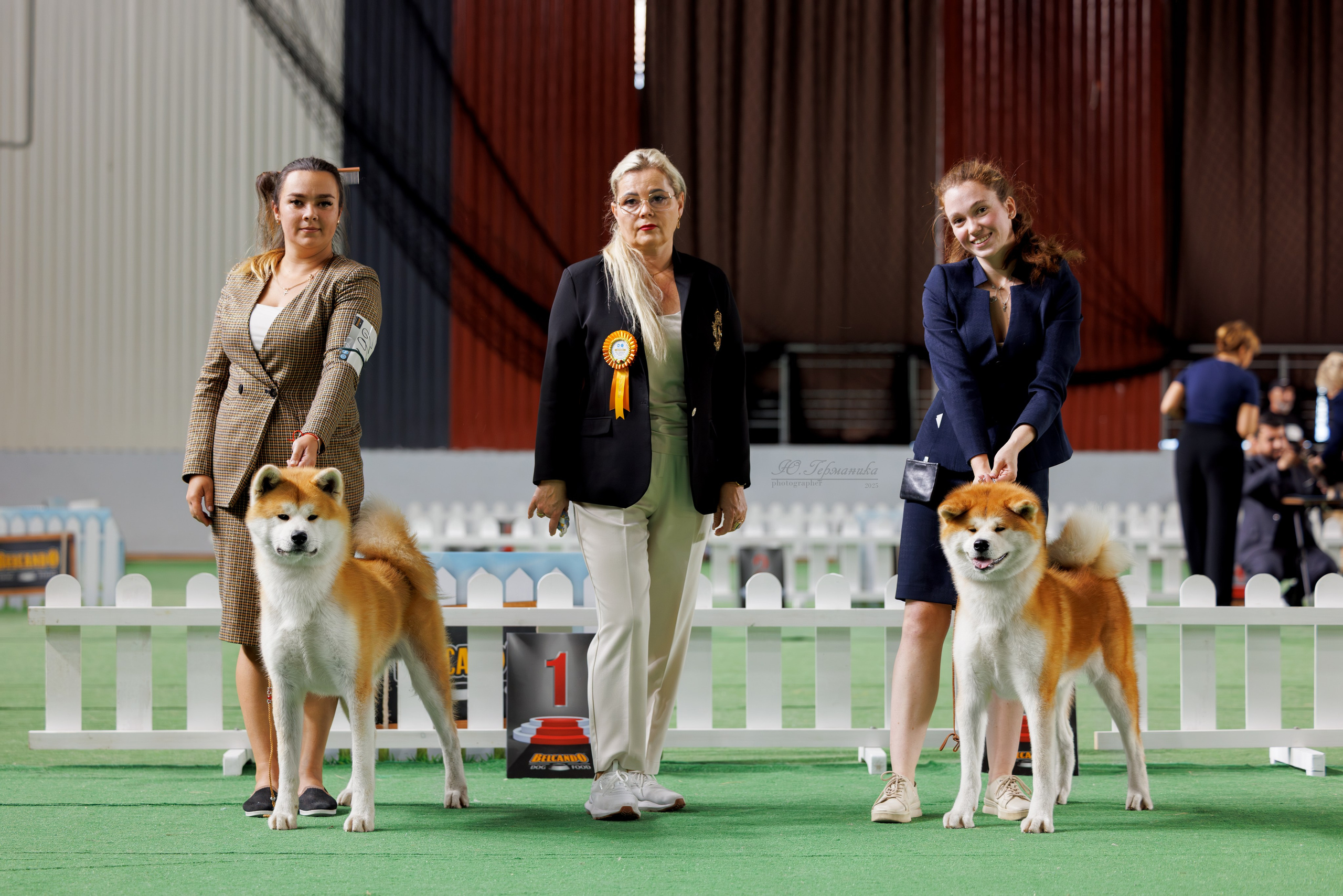 Ташкент 3хCACIB 3-5.10.2025. Фотограф-анималист Юлия Германика