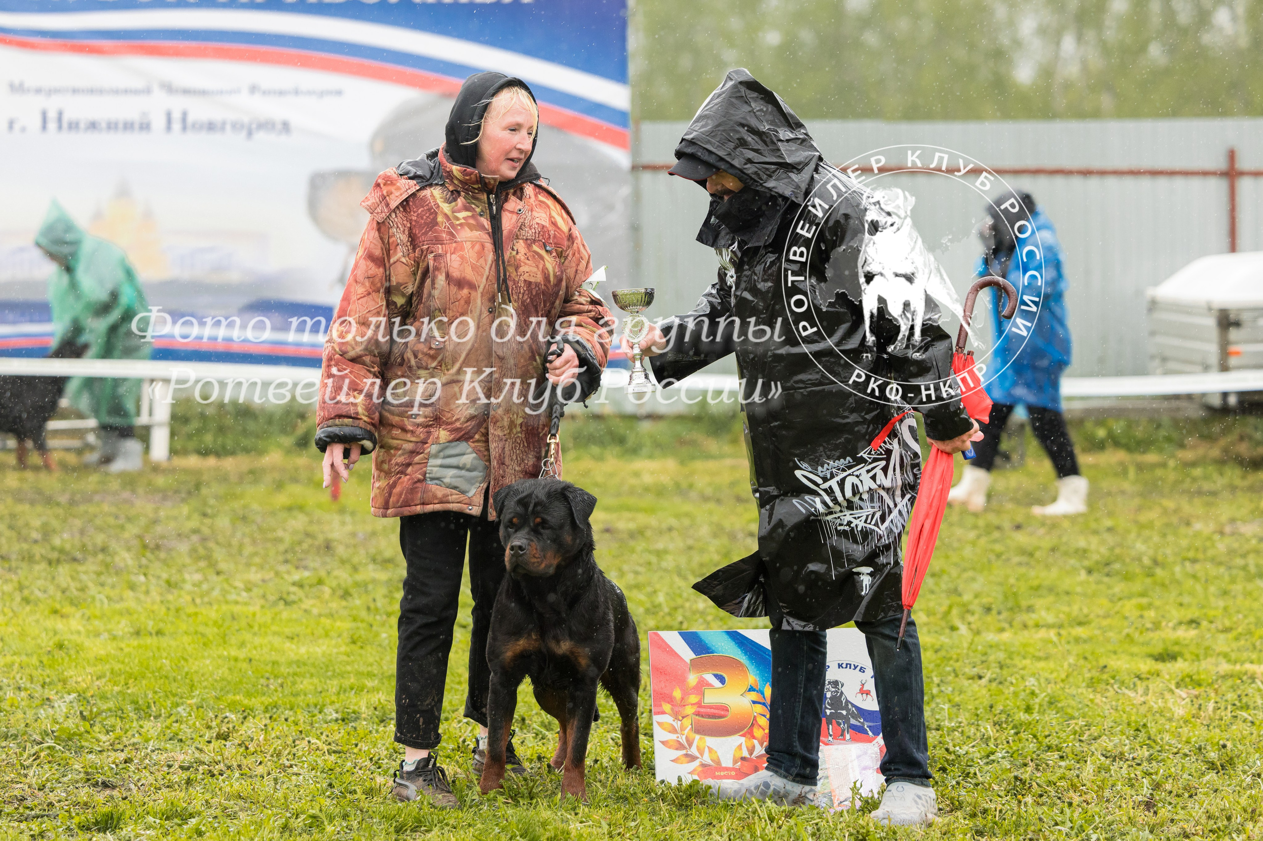 Нижний Новгород 2хмоно ротвейлеров 10-11.05.2025. Фотограф-анималист Юлия Германика