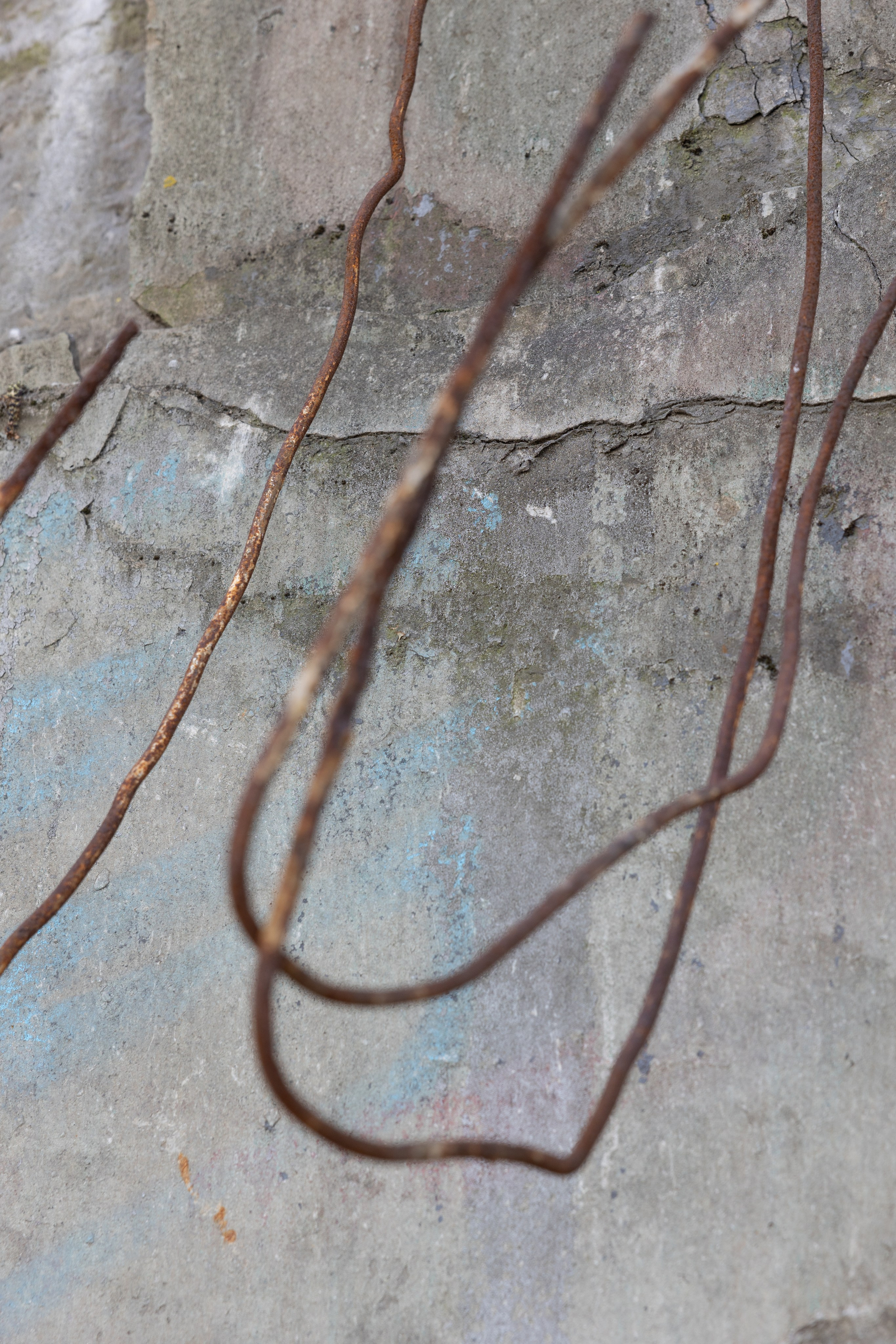 Art prints. Фотограф алина стерхова, алина стерхова фотограф, фотограф москва