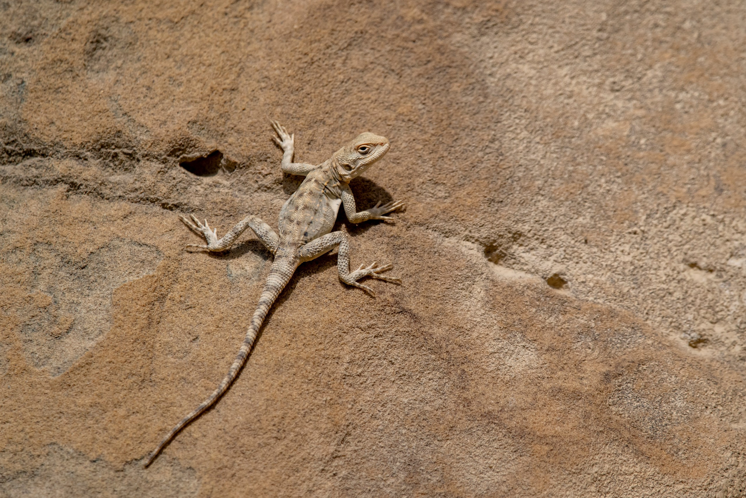 Природа Дагестана, сентябрь 2024. Foto-Zuev фотография как искусство