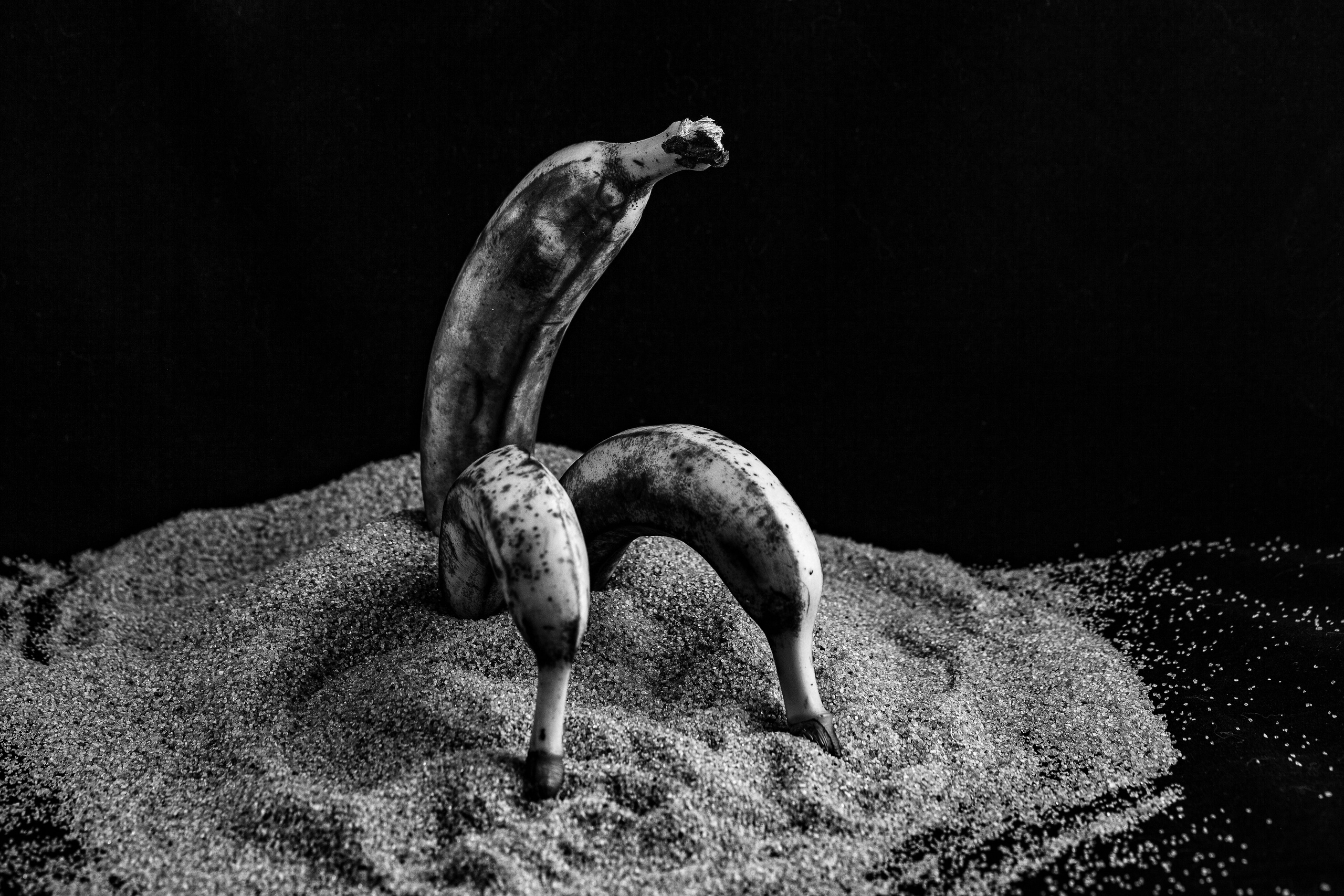 Банановая галлерея. Медиапродюсер, фотограф в Минеральных Водах —Виктор Холодов